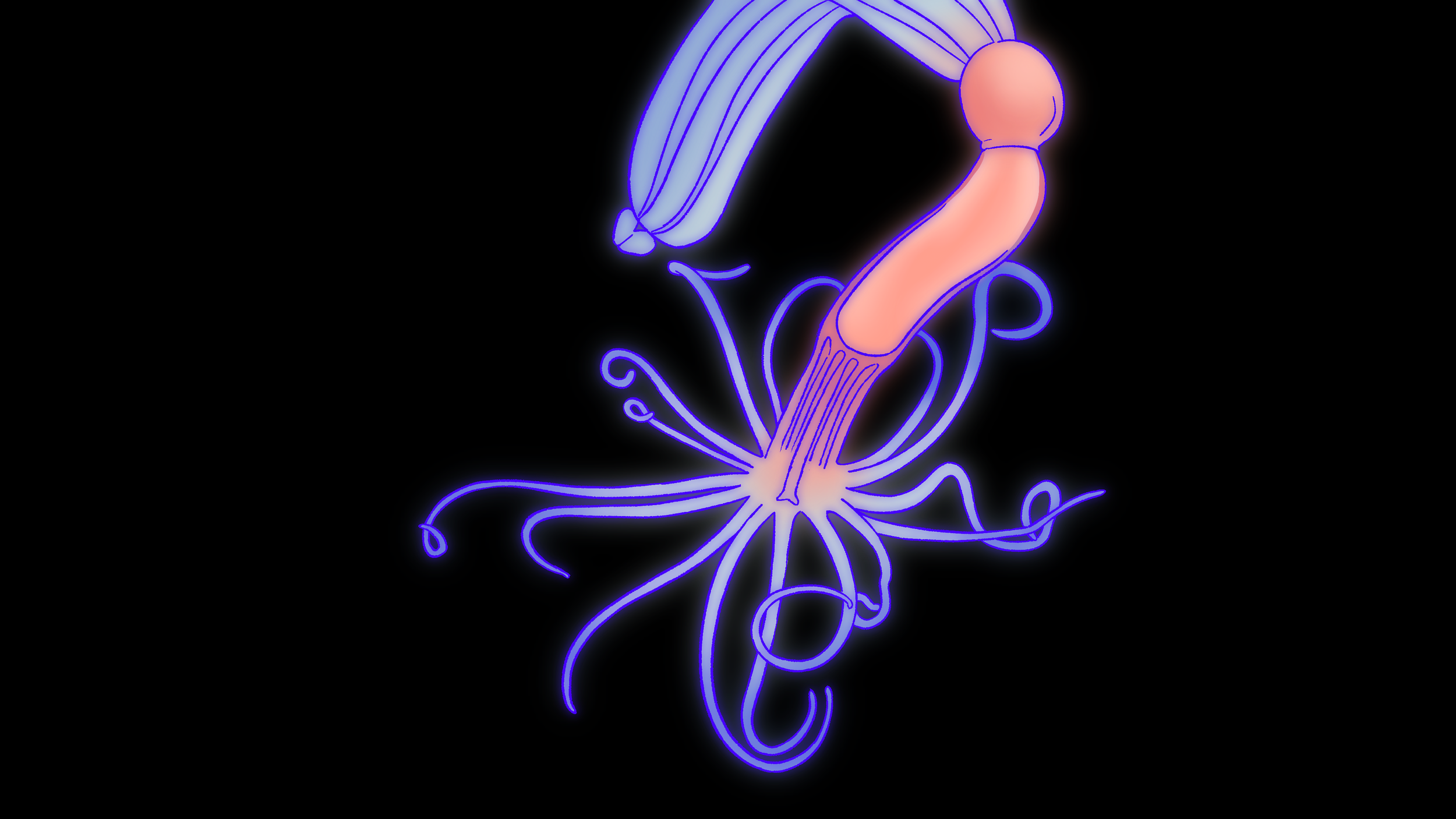 Untitled_Artwork 27.png