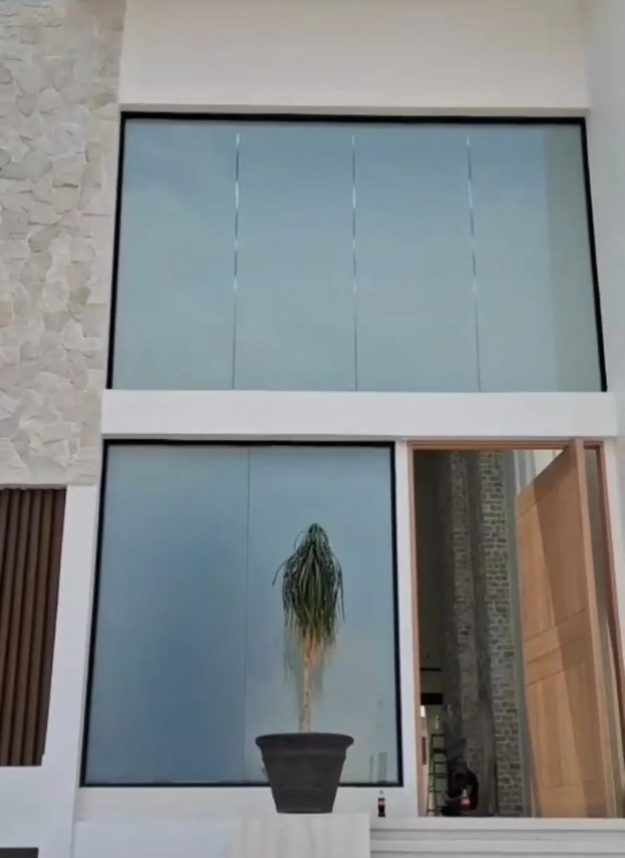 Vista de una fachada moderna con grandes ventanas y una planta en una maceta, en un ambiente interior con paredes de piedra y elementos de madera.