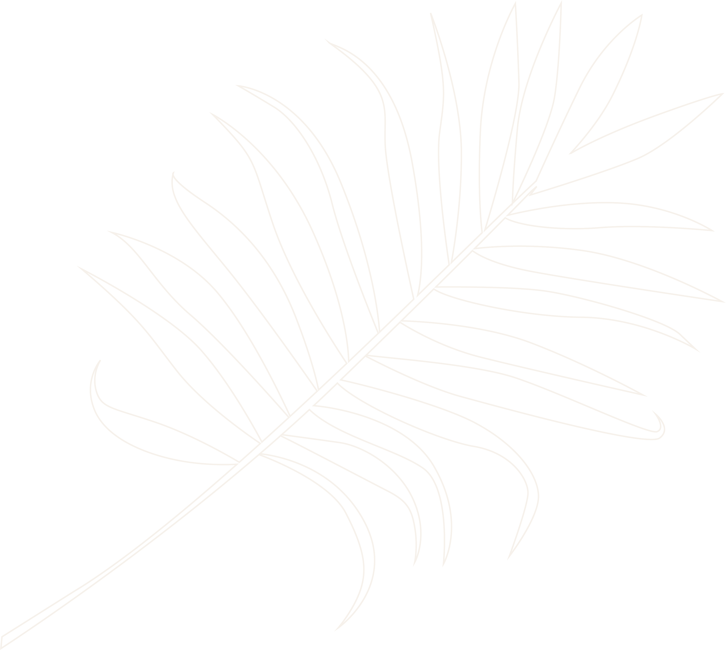 Outline drawing of a large palm leaf on a black background.