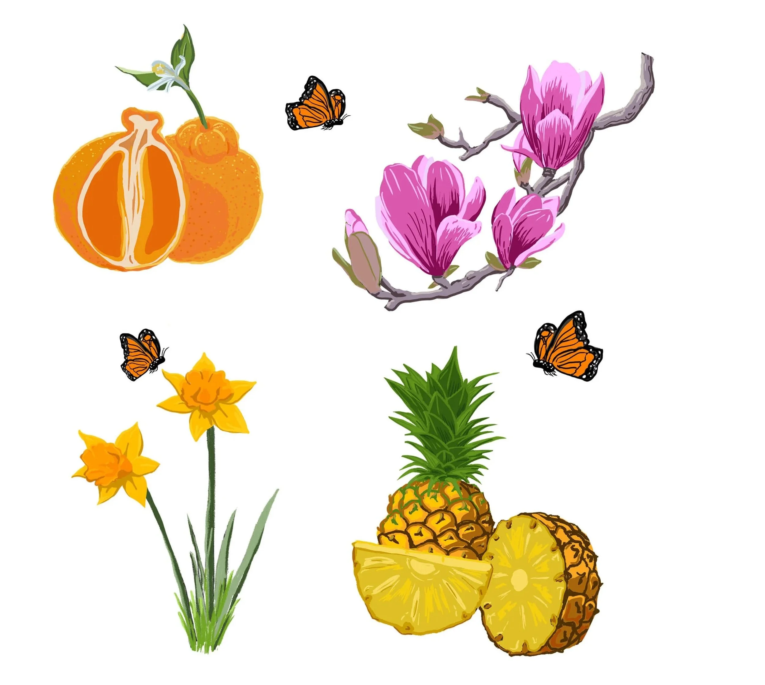 A2_2_MacIntyre_Blooming+Delight.jpg