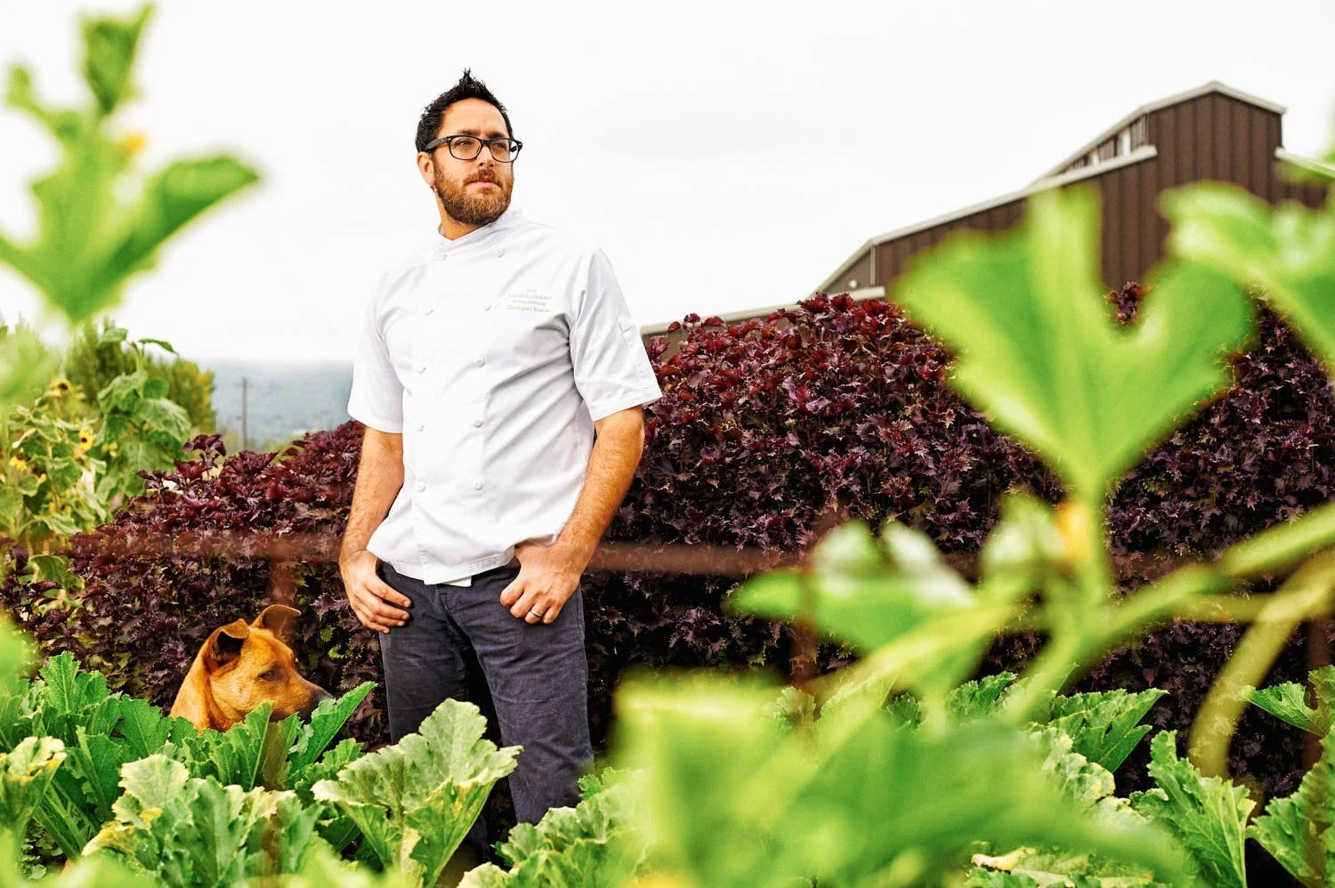 Commercial. Editorial portrait of chef Christopher Kostow for Grail Magazine.