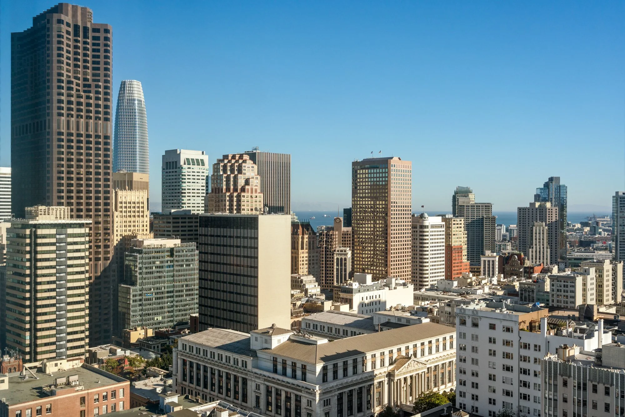 A clear view of a city skyline with numerous tall skyscrapers and buildings under a blue sky, with the ocean visible in the background.