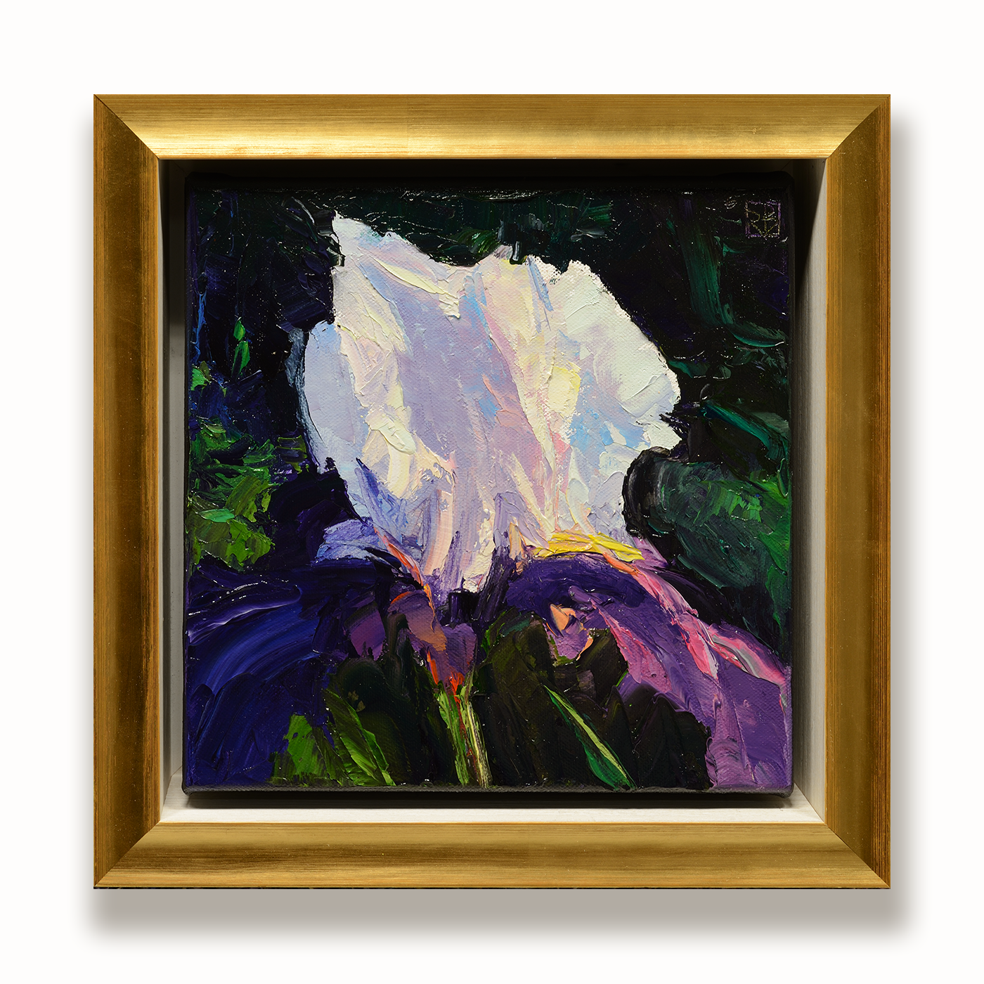 web Iris #2 10.25 x 10.25 x 2.25 $1000.png