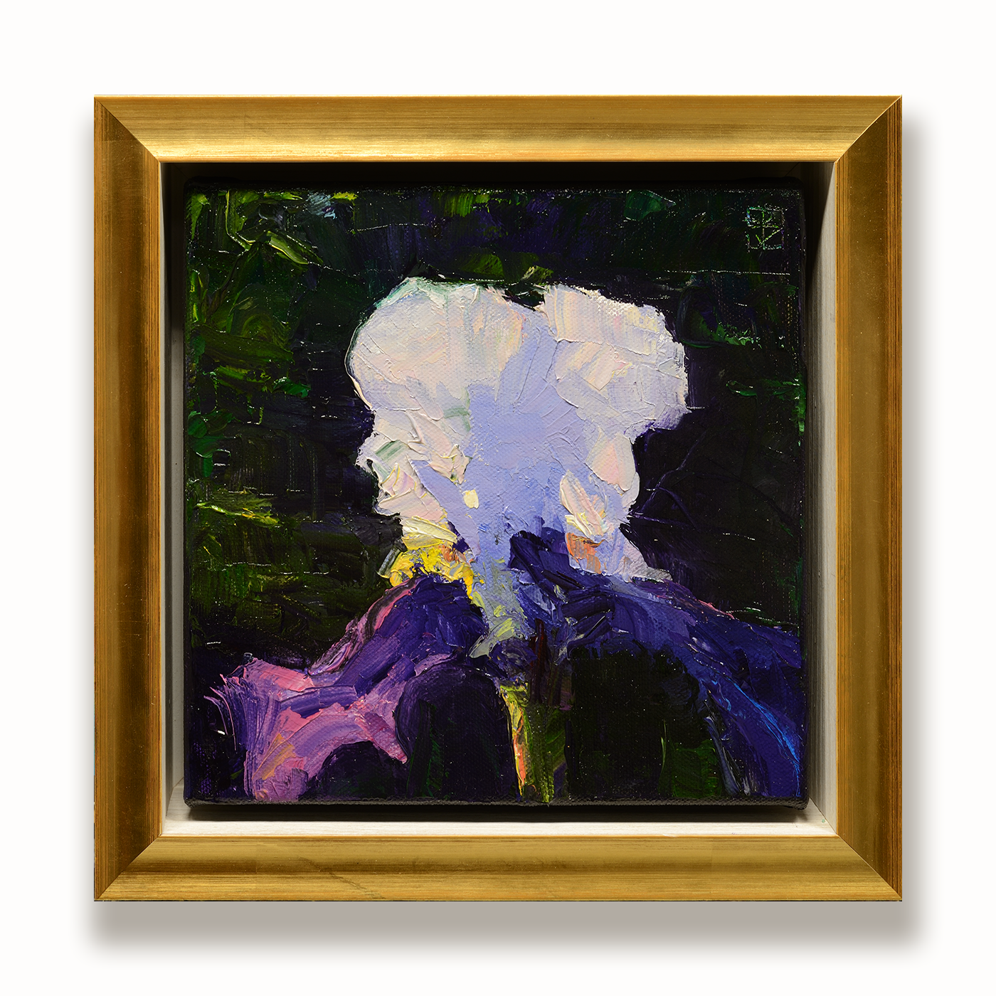 web Iris #1 10.25 x 10.25 x 2.25 $1000.png