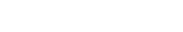 steadfast-city.webp