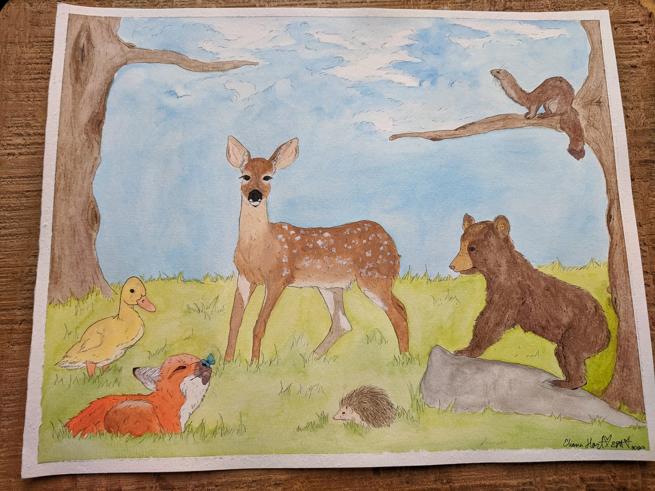 Baby Animals