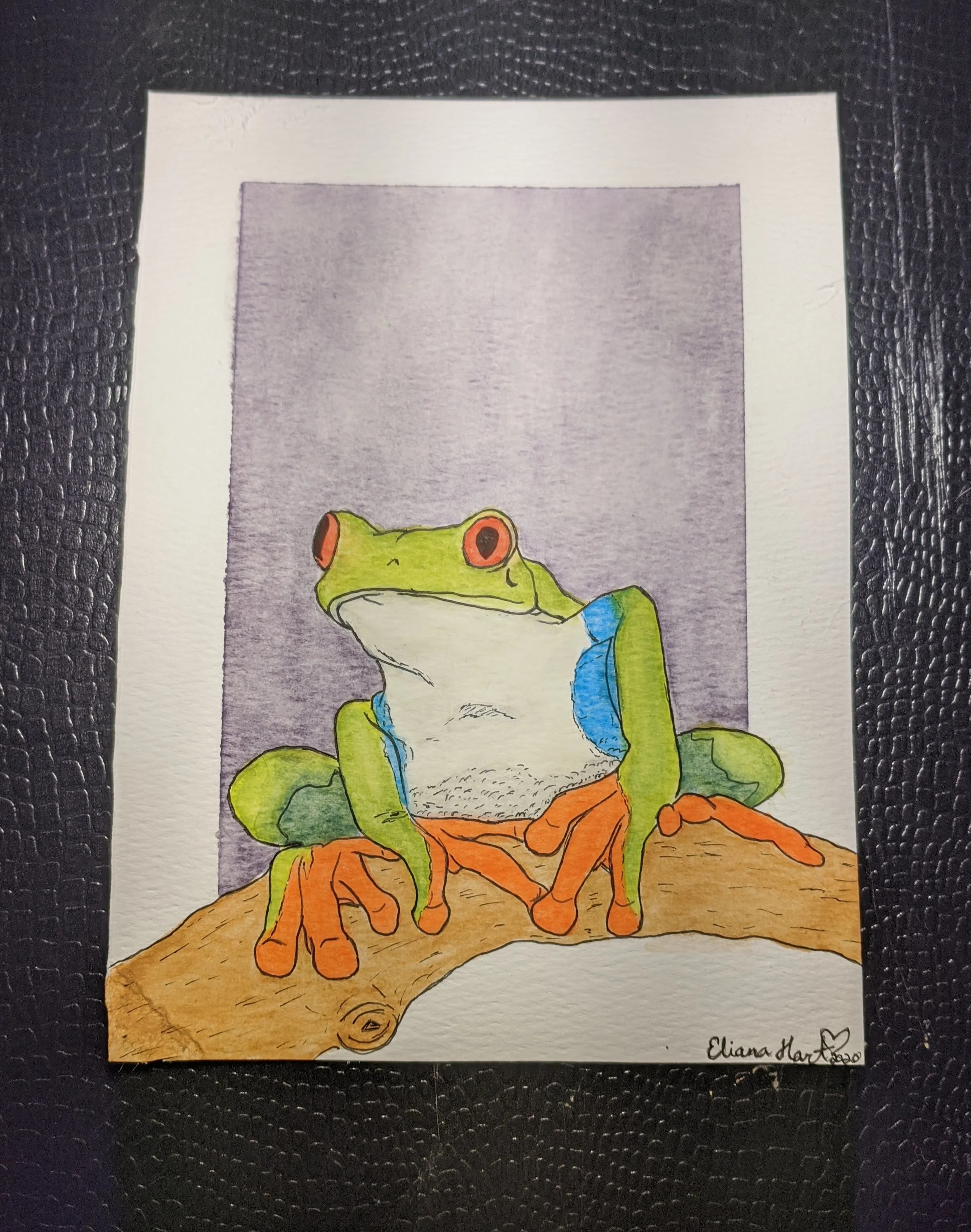 Tree Frog