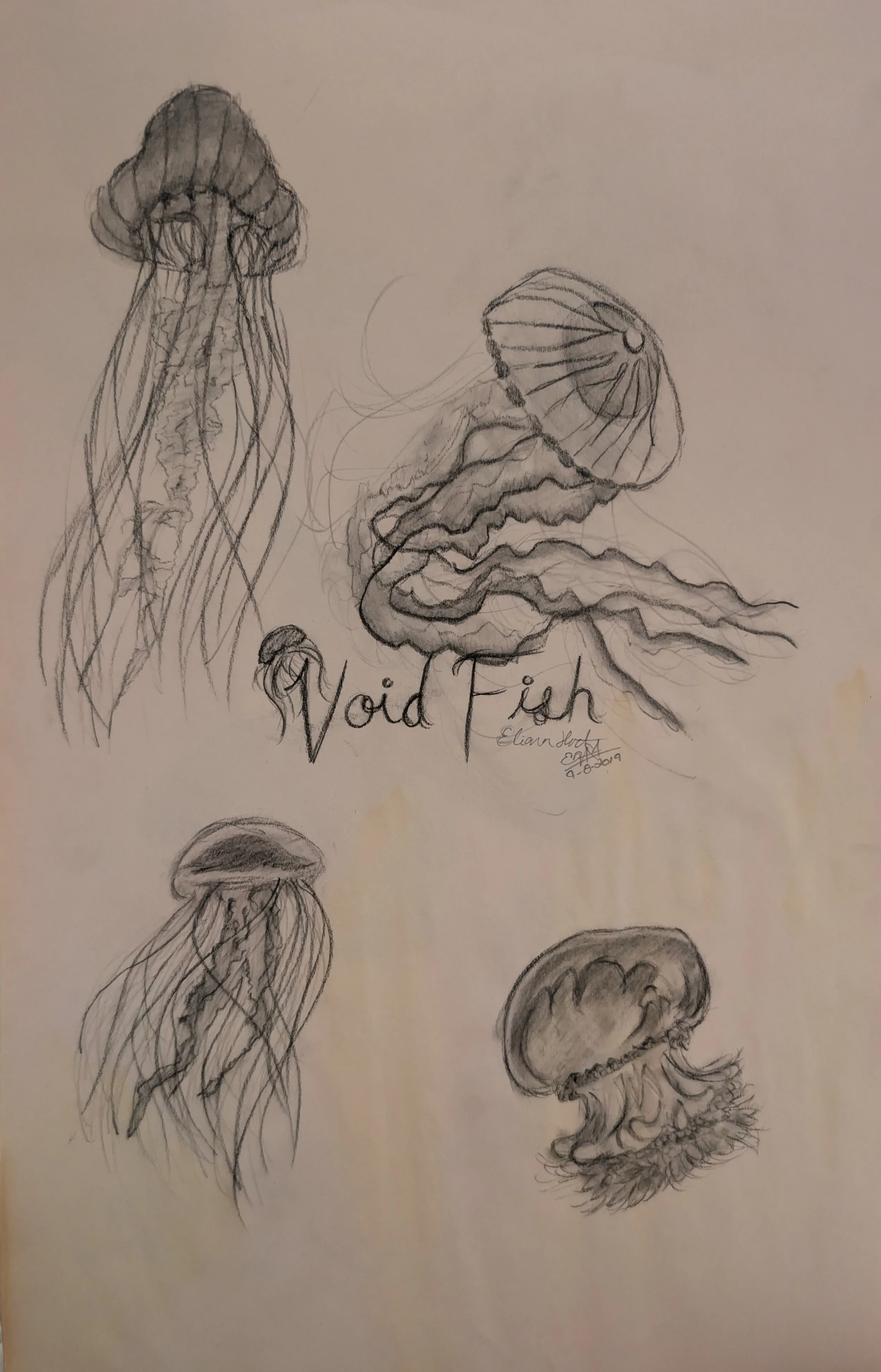Voidfish