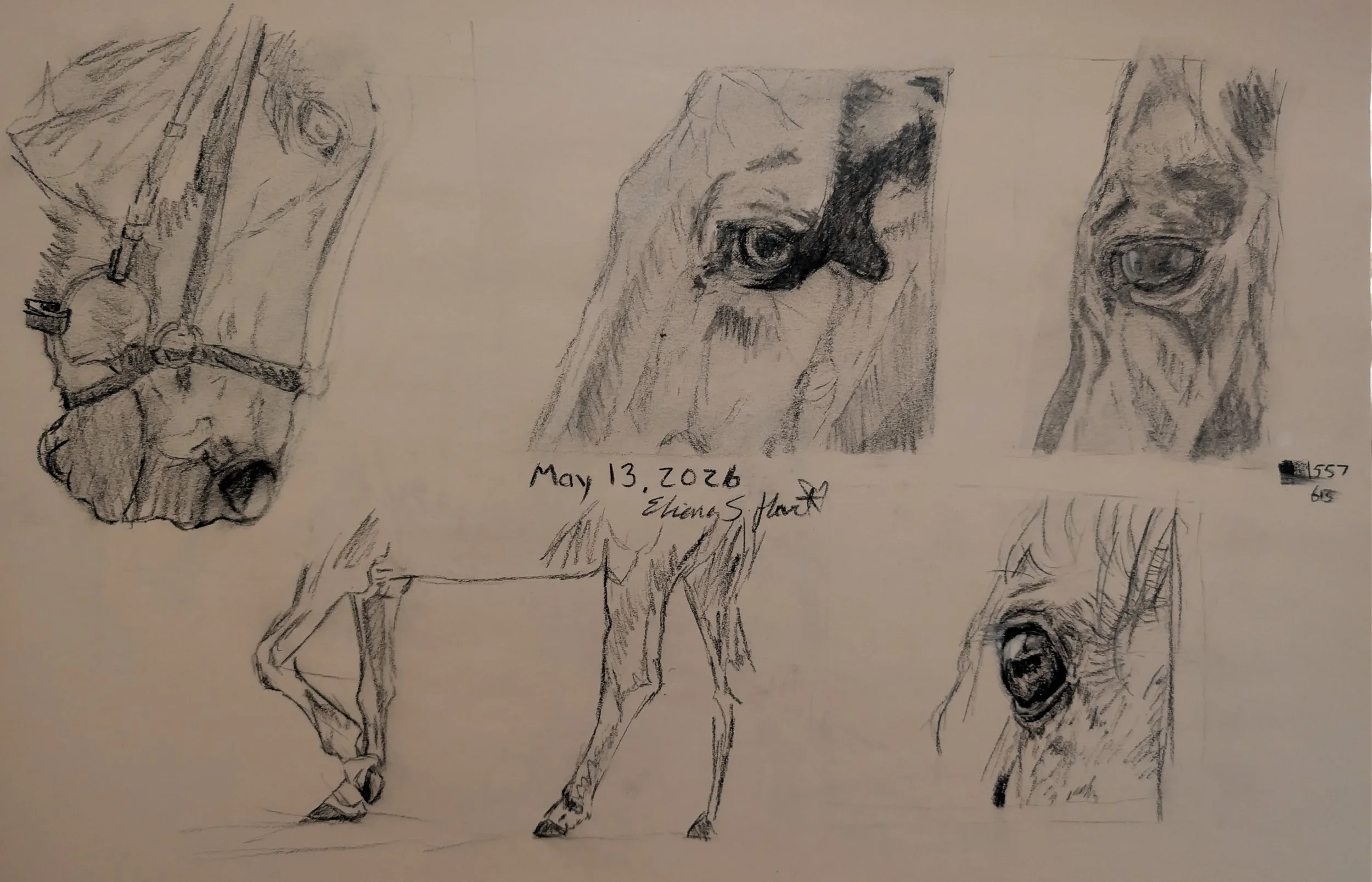 PXL_20261022_180743510.jpg