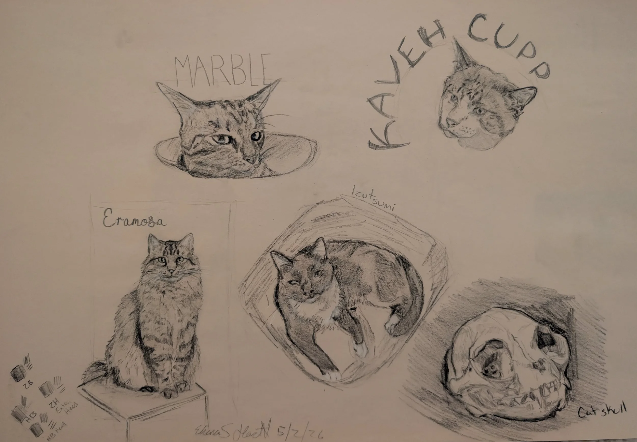 The Kitty Cars