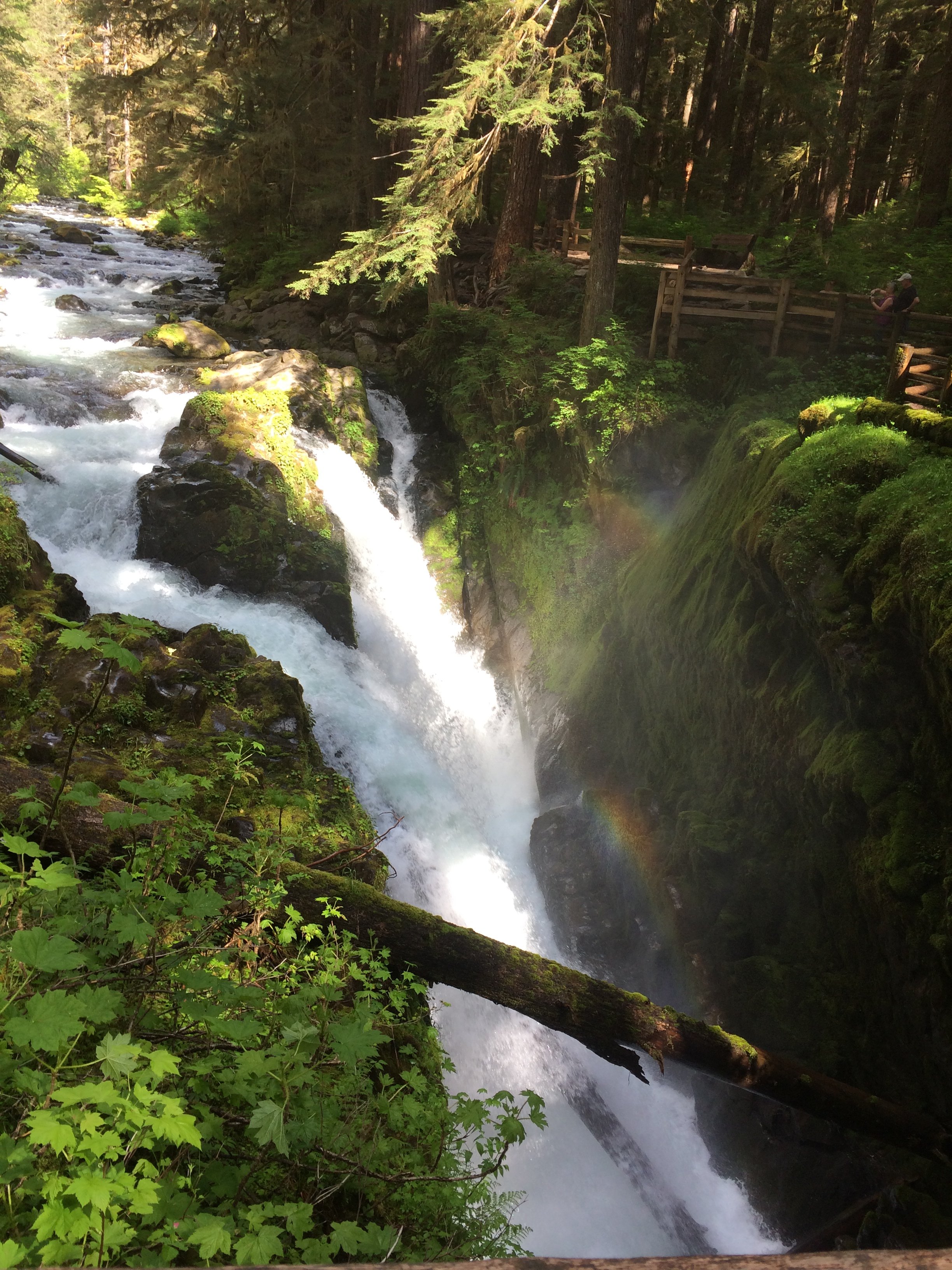 Waterfall at Olympic National Park, Washington States, US.