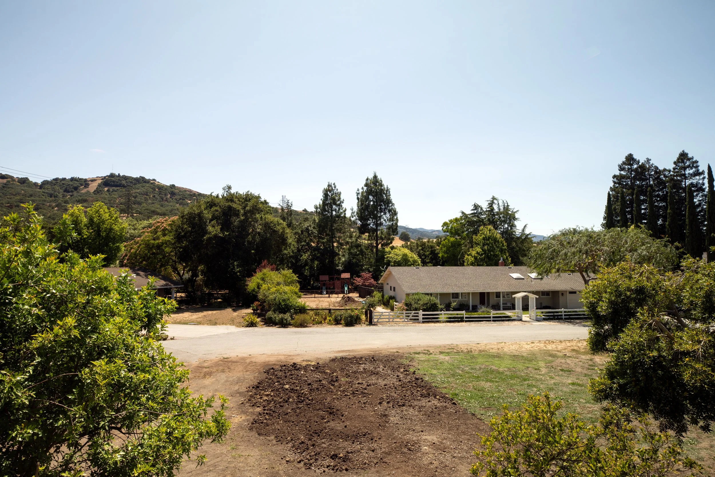 A suburban backyard with trees, shrubs, and a house with a white picket fence under a clear blue sky.