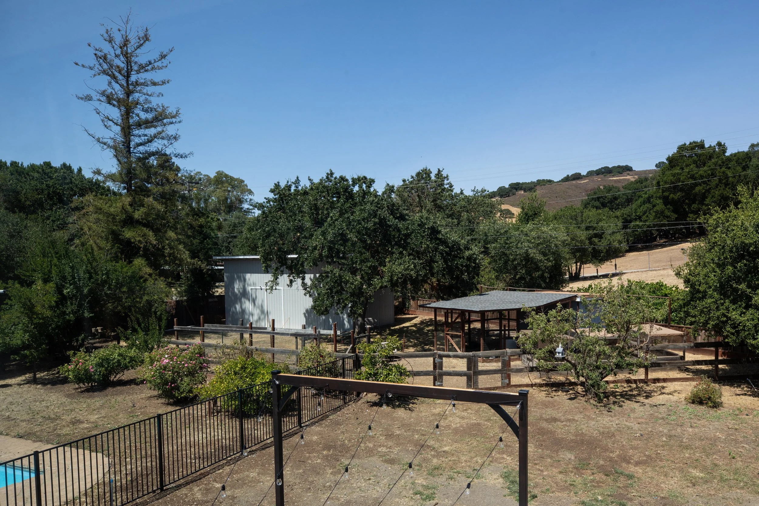 A backyard with a fenced area, trees, a small shed, a picnic shelter, and a hillside in the background under a clear blue sky.