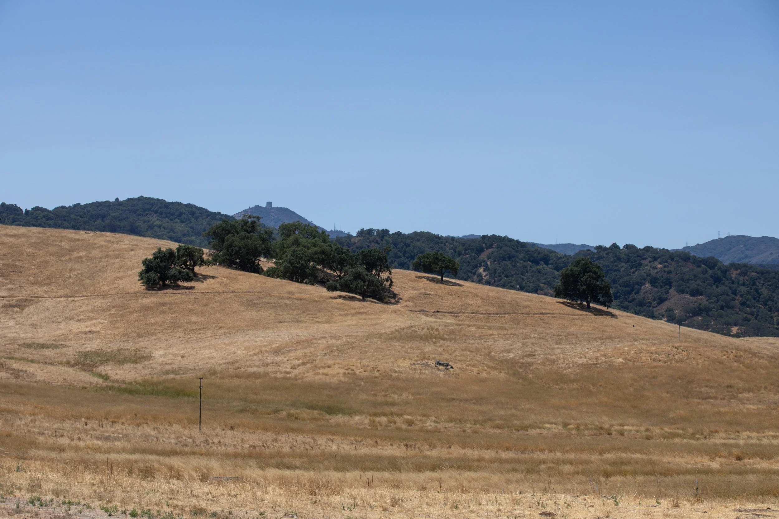 54-Almaden_Matt_Anello-0745-MLS.jpg