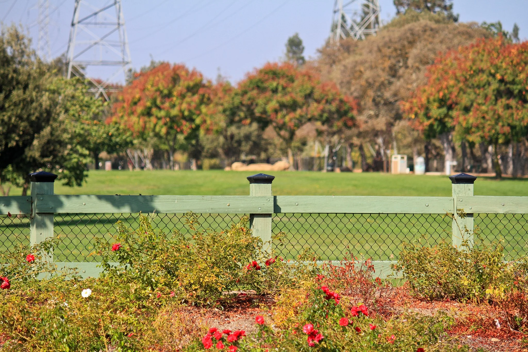 Park.jpg