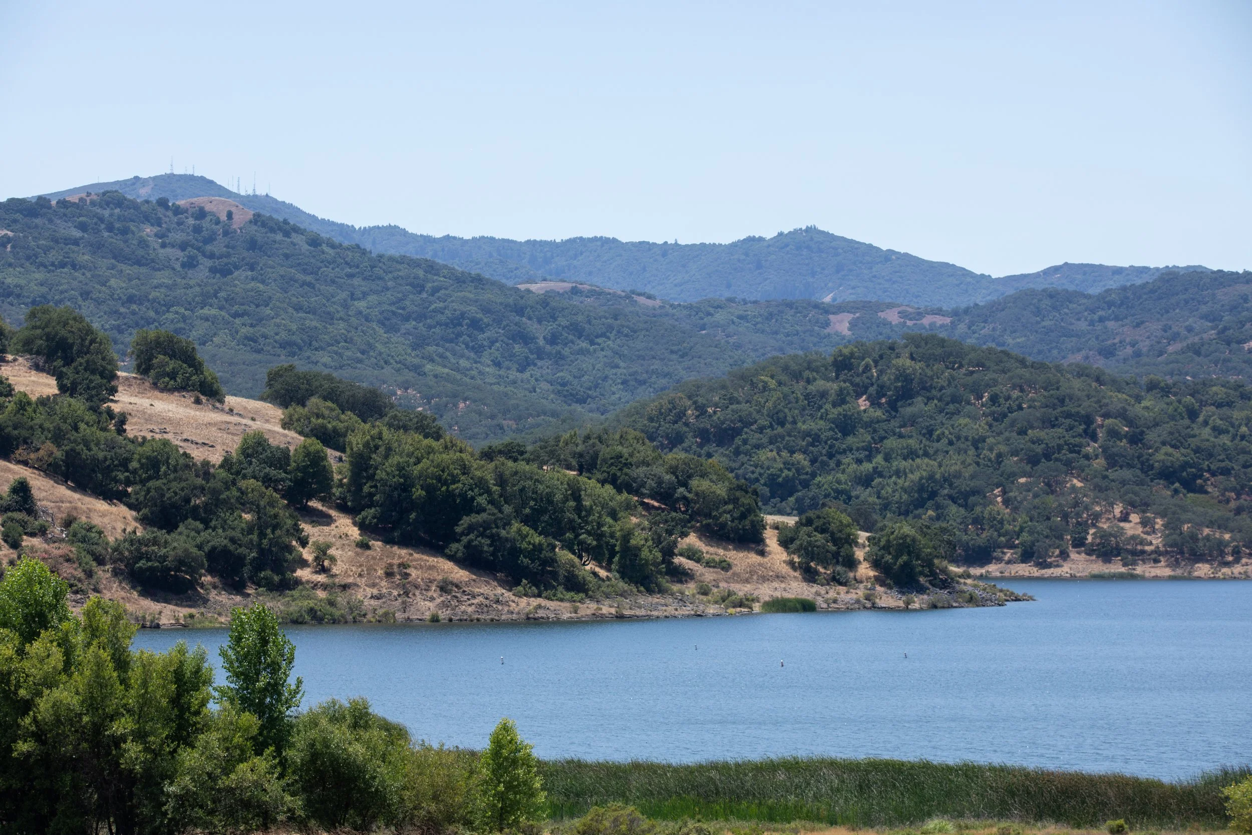 59-Almaden_Matt_Anello-0754-MLS.jpg