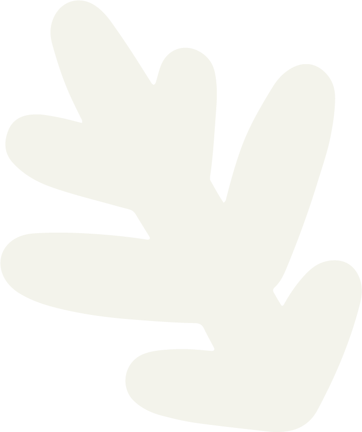 A digital illustration of an abstract white leaf.