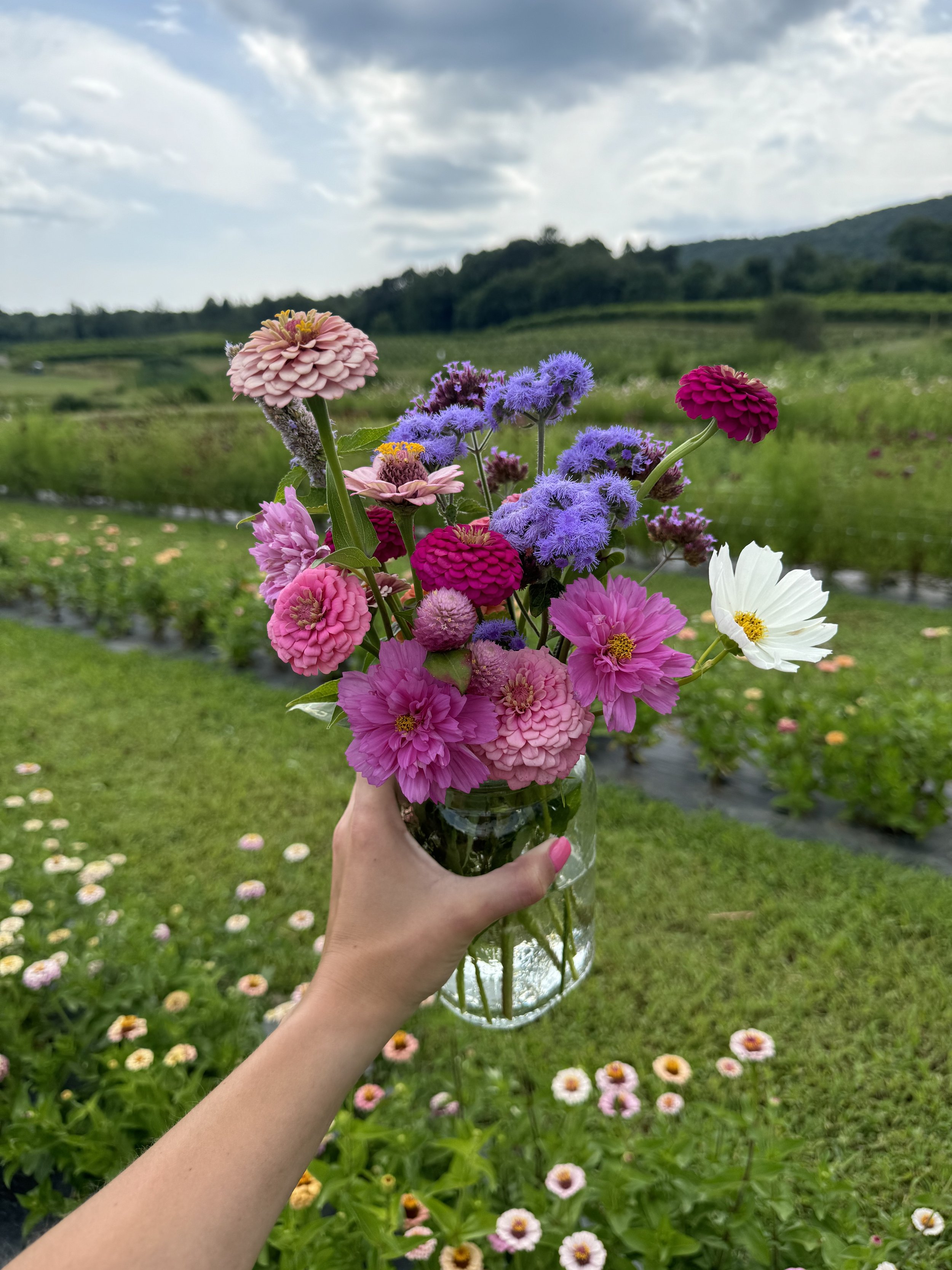 Person holding a glass jar filled with colorful flowers including pink, purple, white, and red blossoms, against a backdrop of a green field with small flowers and hills under a cloudy sky.