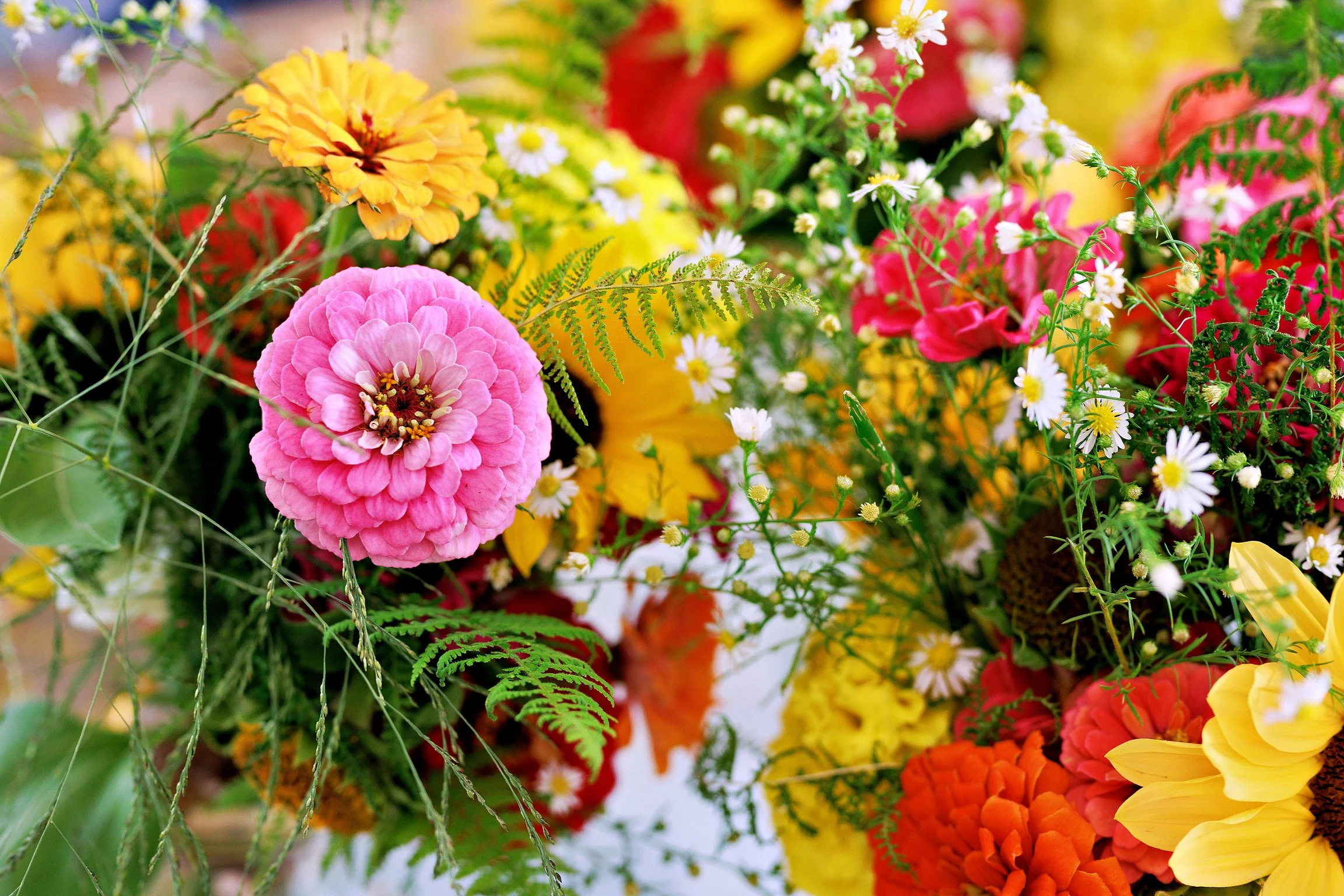A colorful display of various flowers, including pink, yellow, orange, and white blooms, with green foliage, arranged in a vibrant floral bouquet.