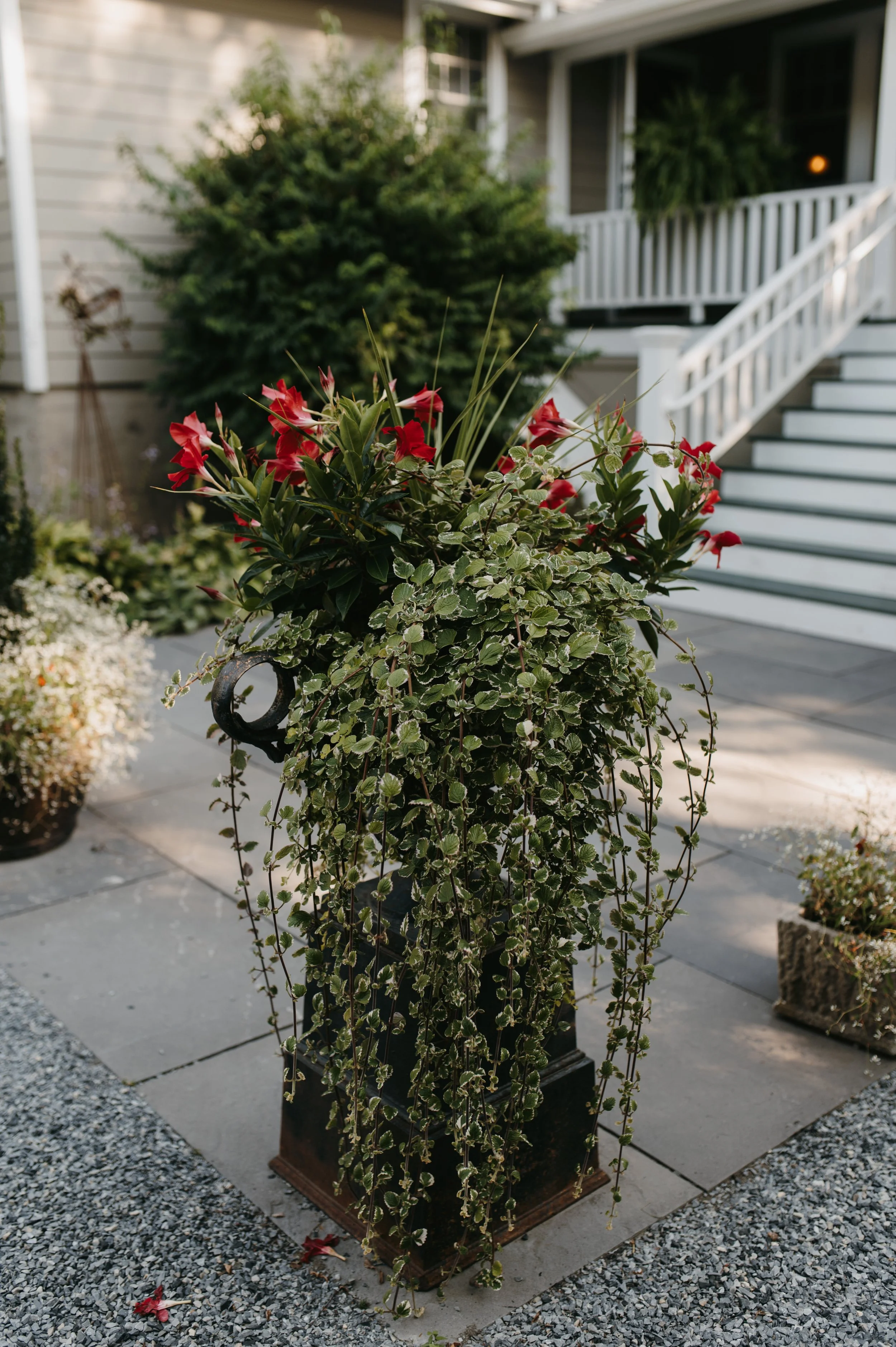 Flower arrangement in a black planter on a patio with a house and porch in the background