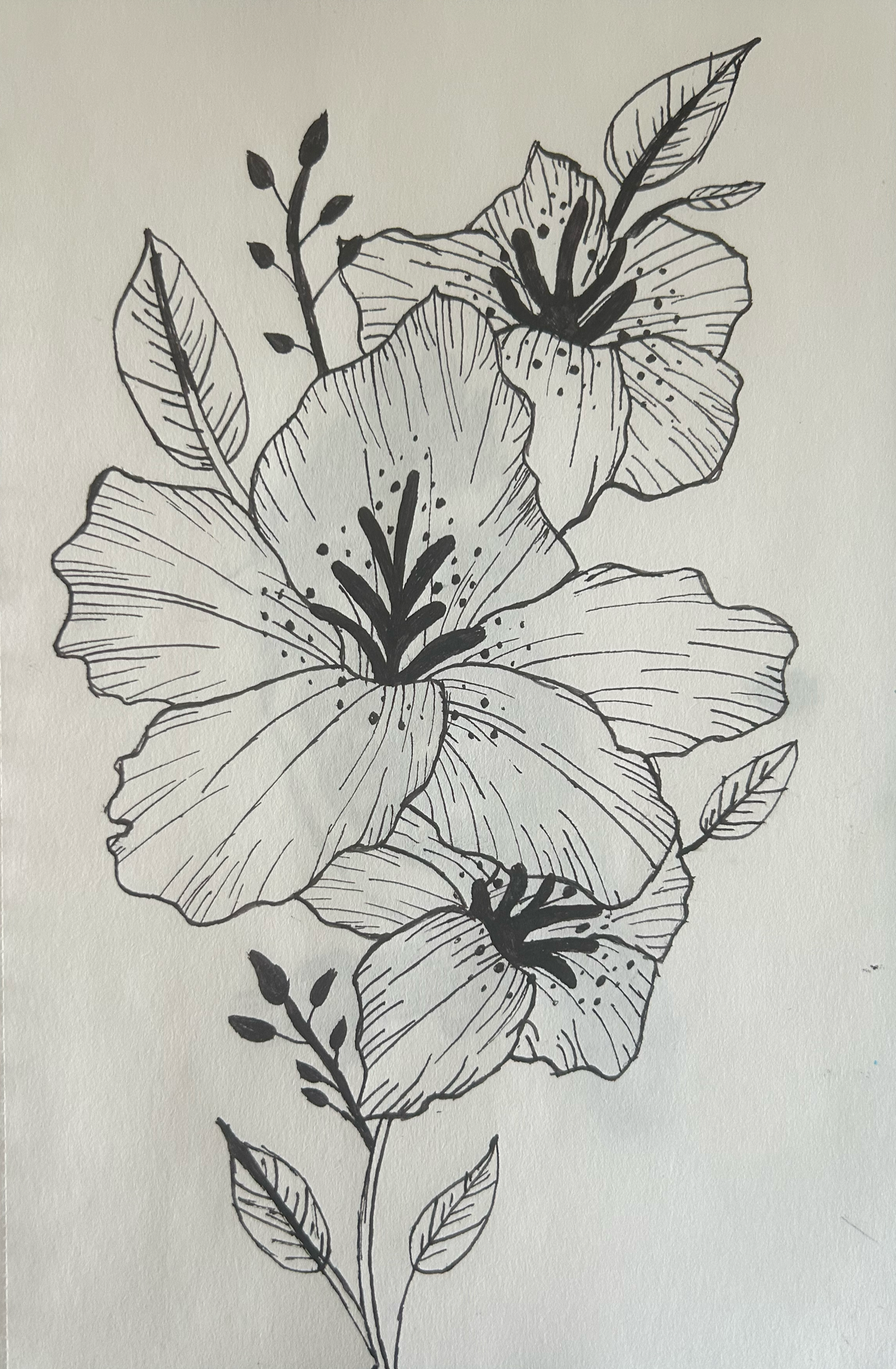 A black and white drawing of a floral design with large flowers and leaves.