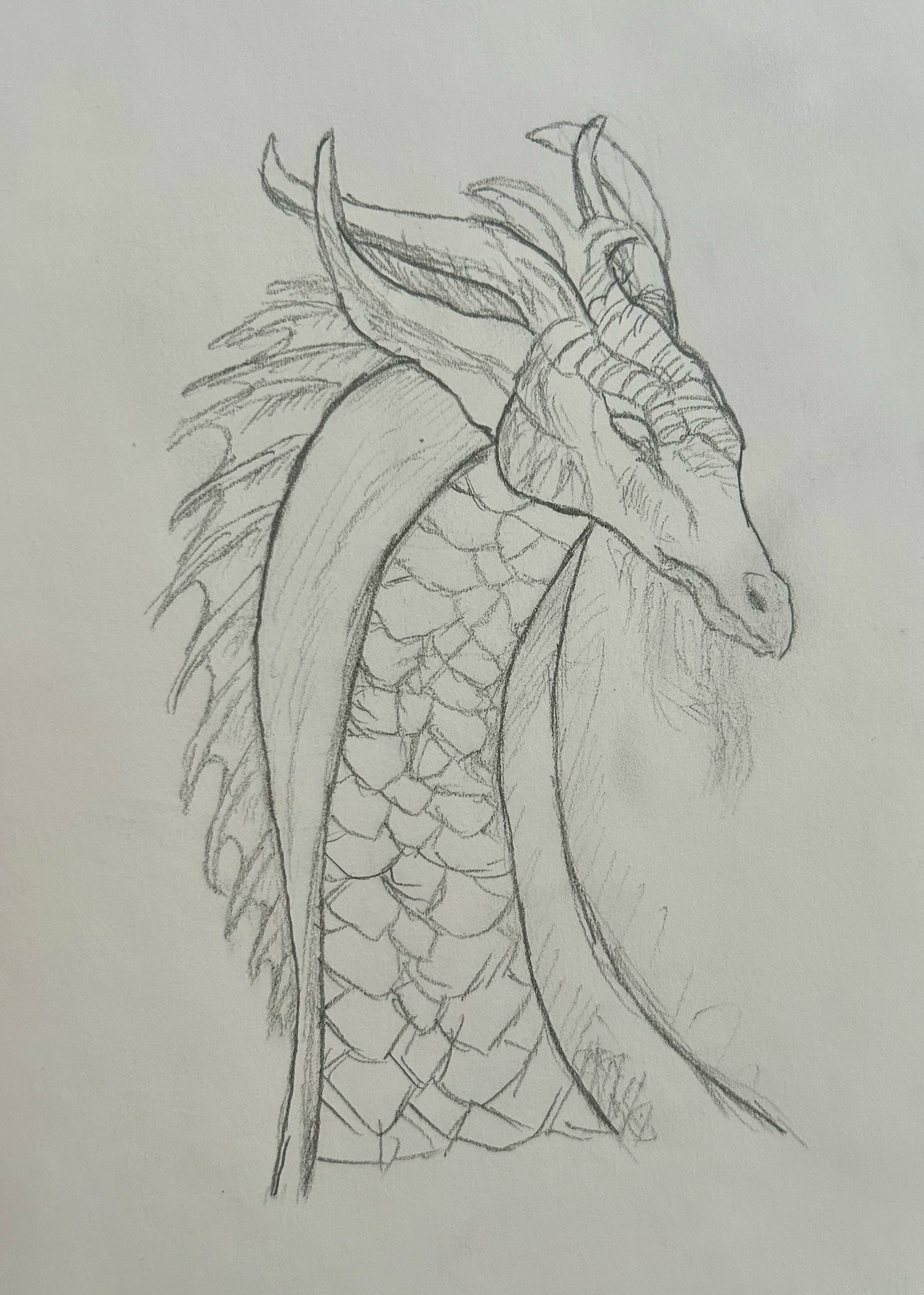 Pencil sketch of a dragon with detailed scales, sharp claws, and long horns.