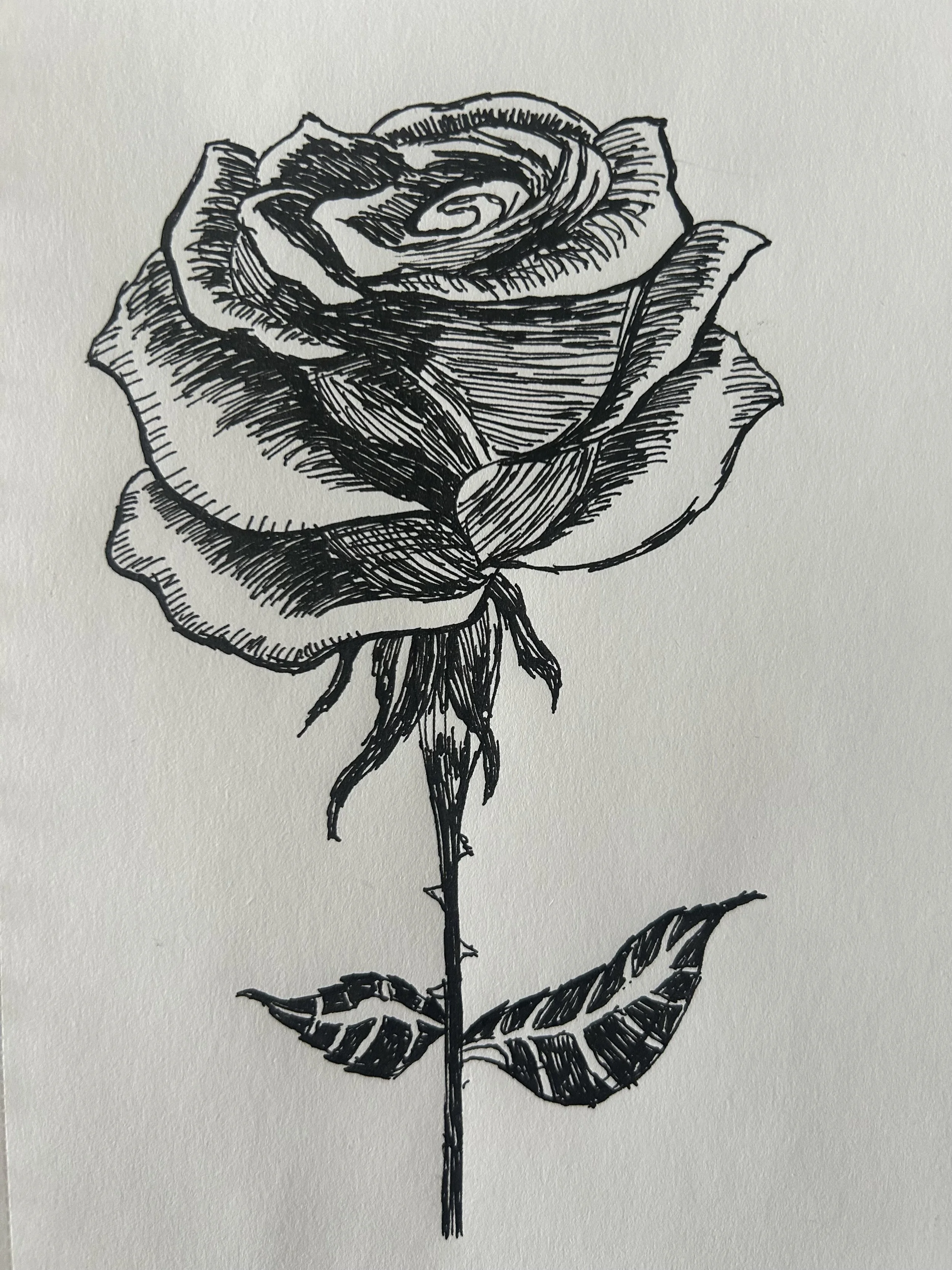 Black and white line drawing of a rose with detailed petals and leaves.