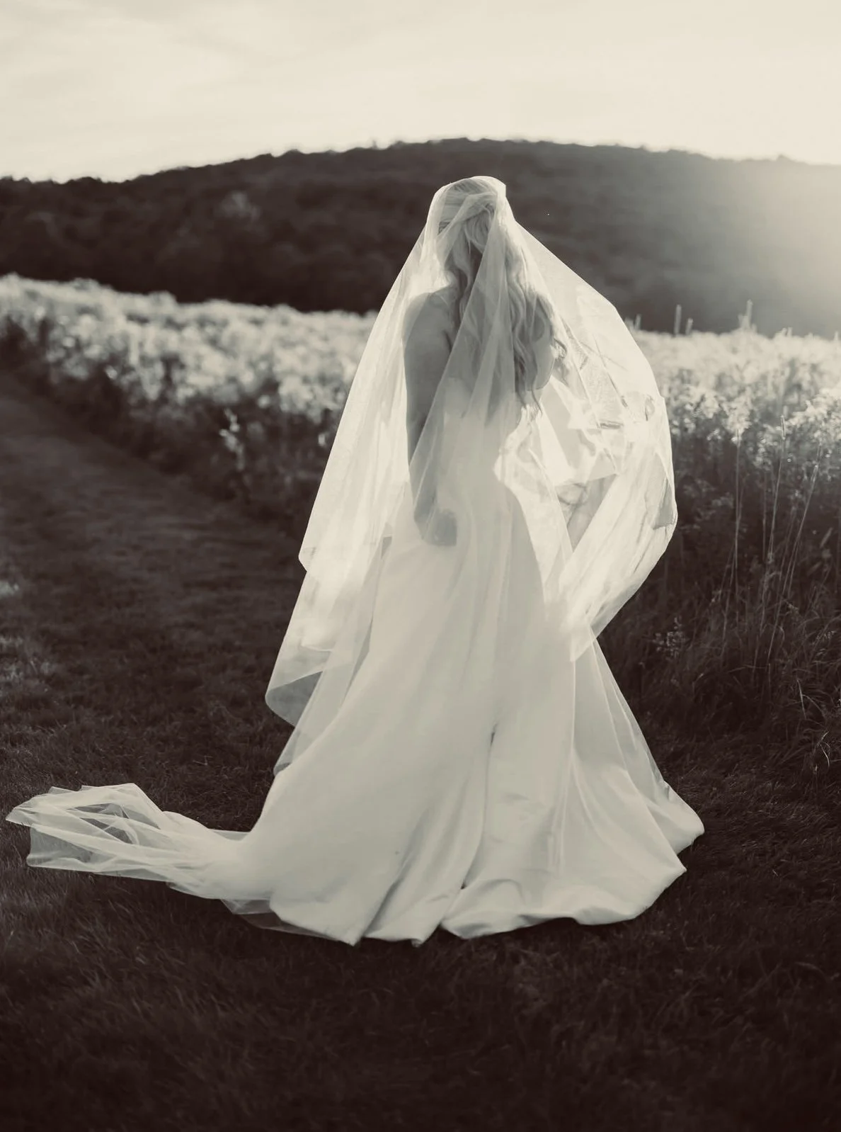 Person in a flowing white veil standing in a sunlit wildflower field