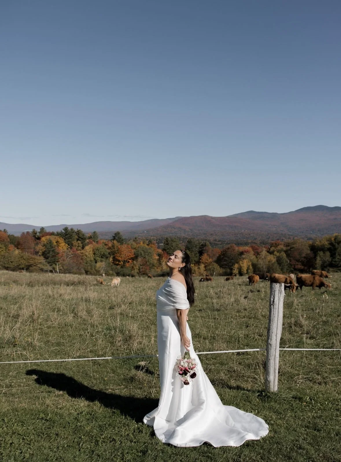 Woman in a flowing white wedding dress holding a bouquet in an autumn pasture with grazing cows and mountain scenery