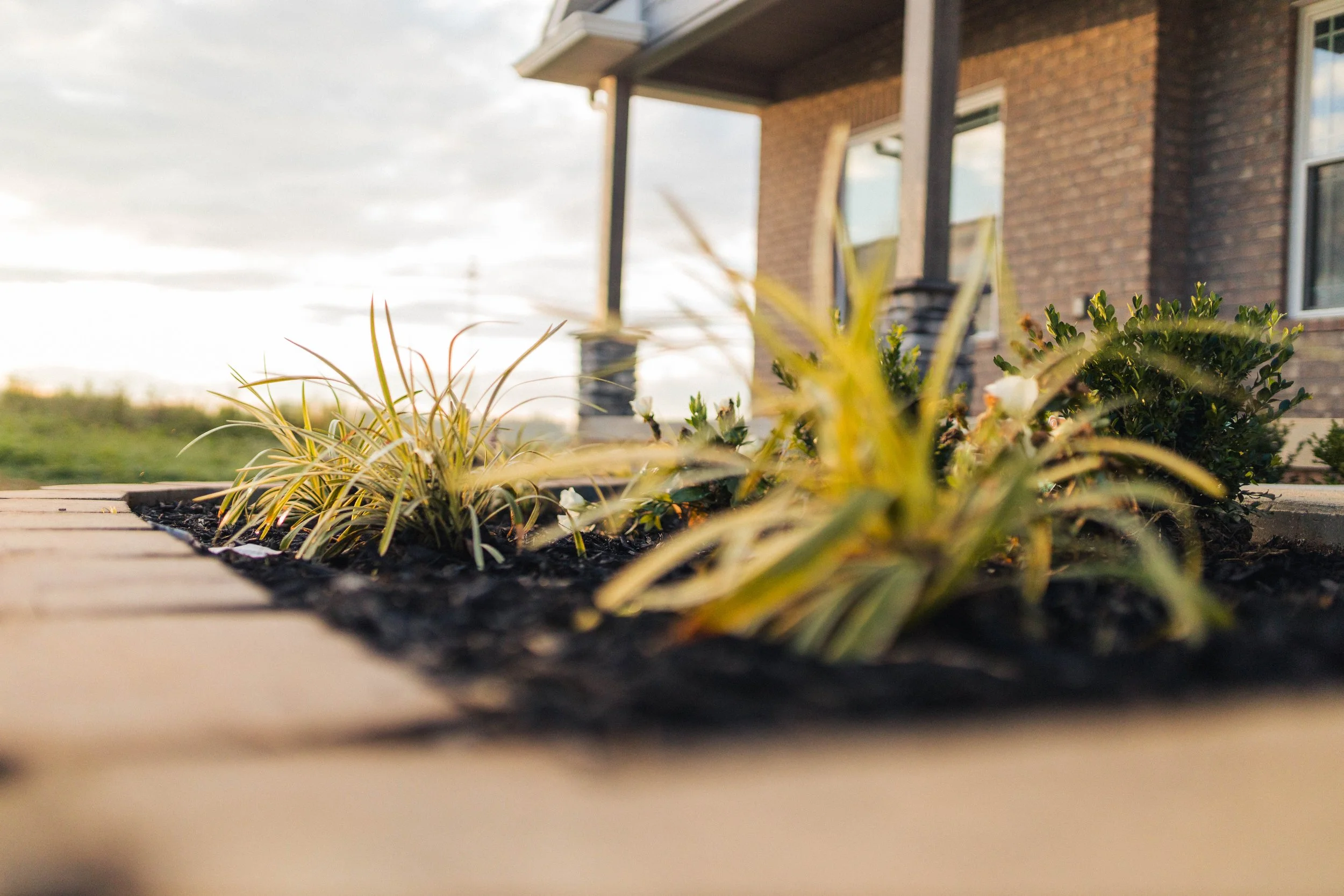 APM-Flowerbed&Mulch.jpg