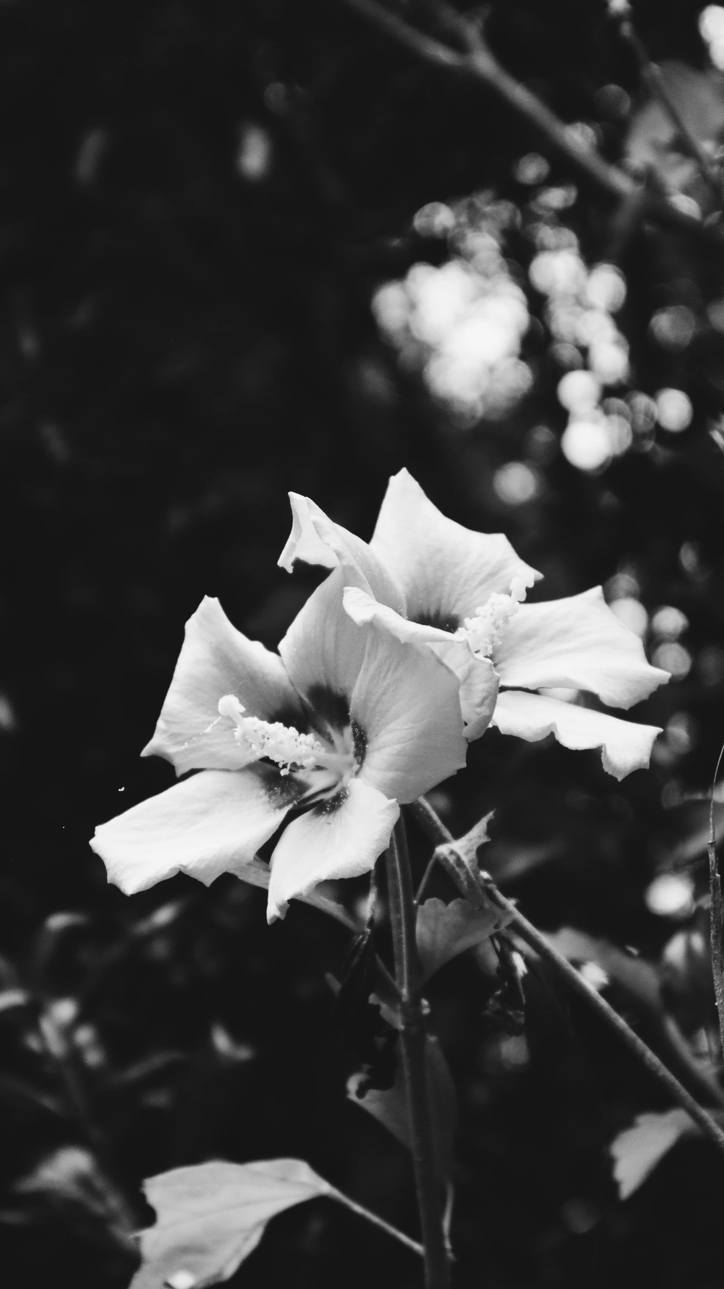nature-25.jpg