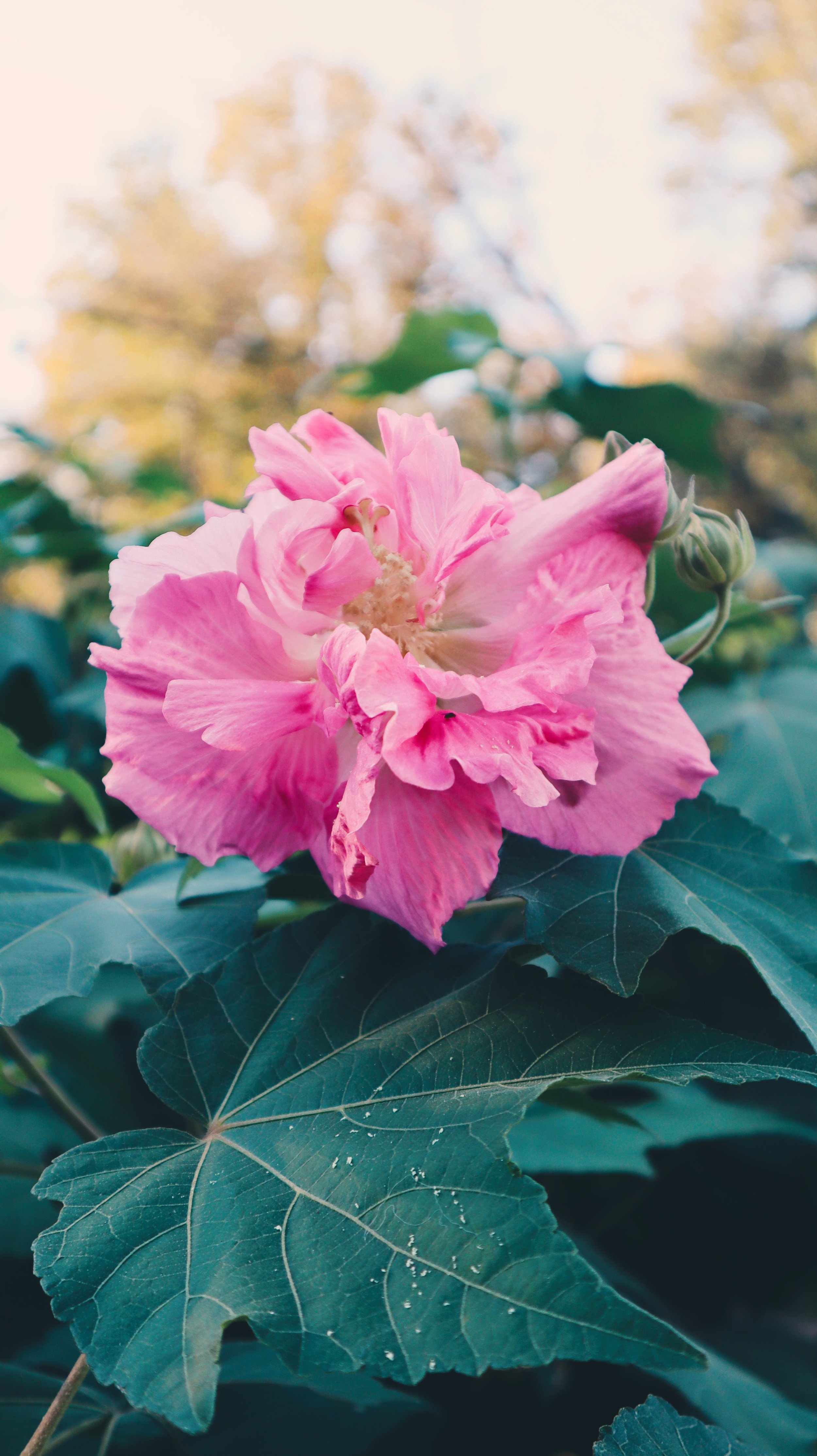 IMG_0497-VSCO.jpg