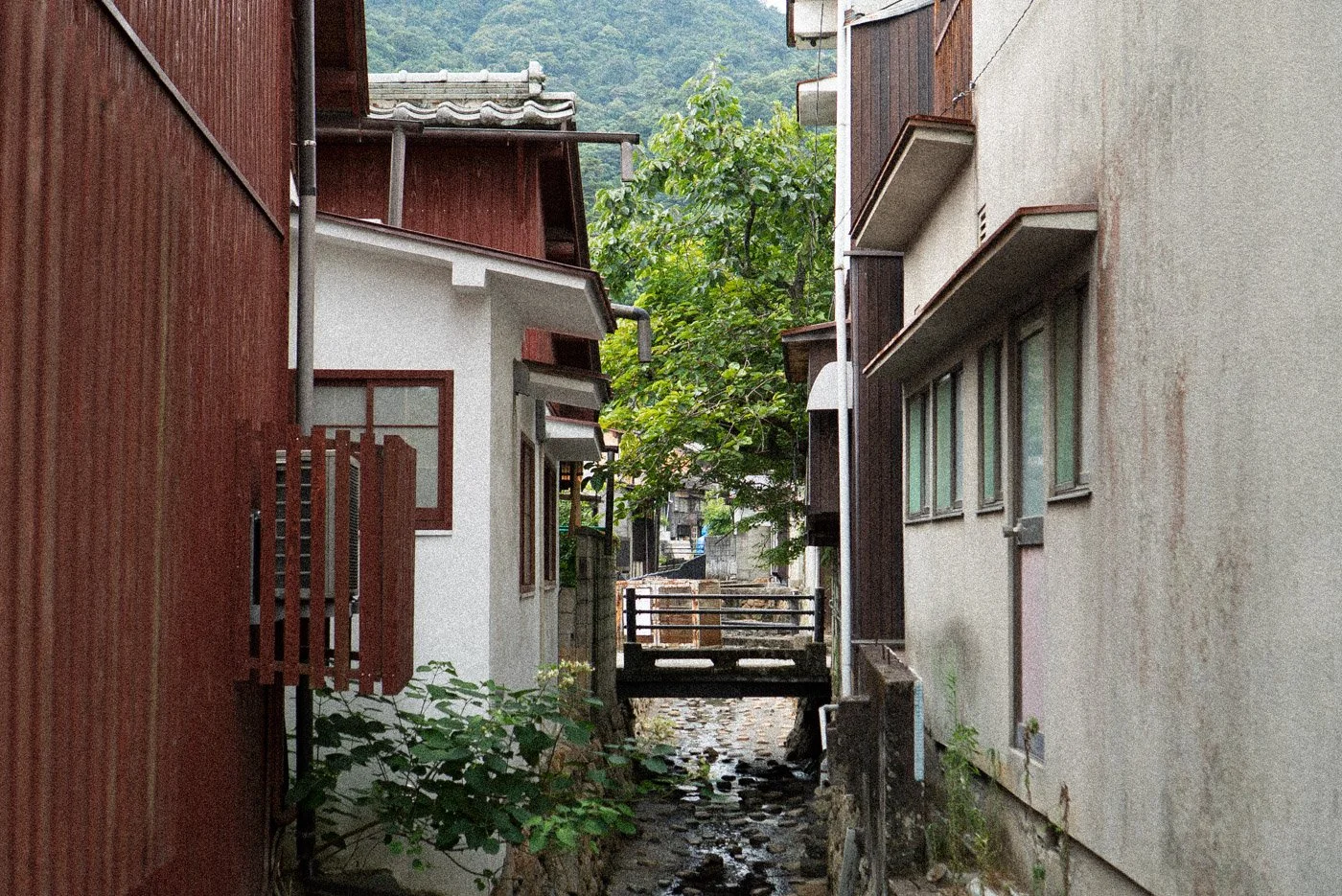 alley.jpg