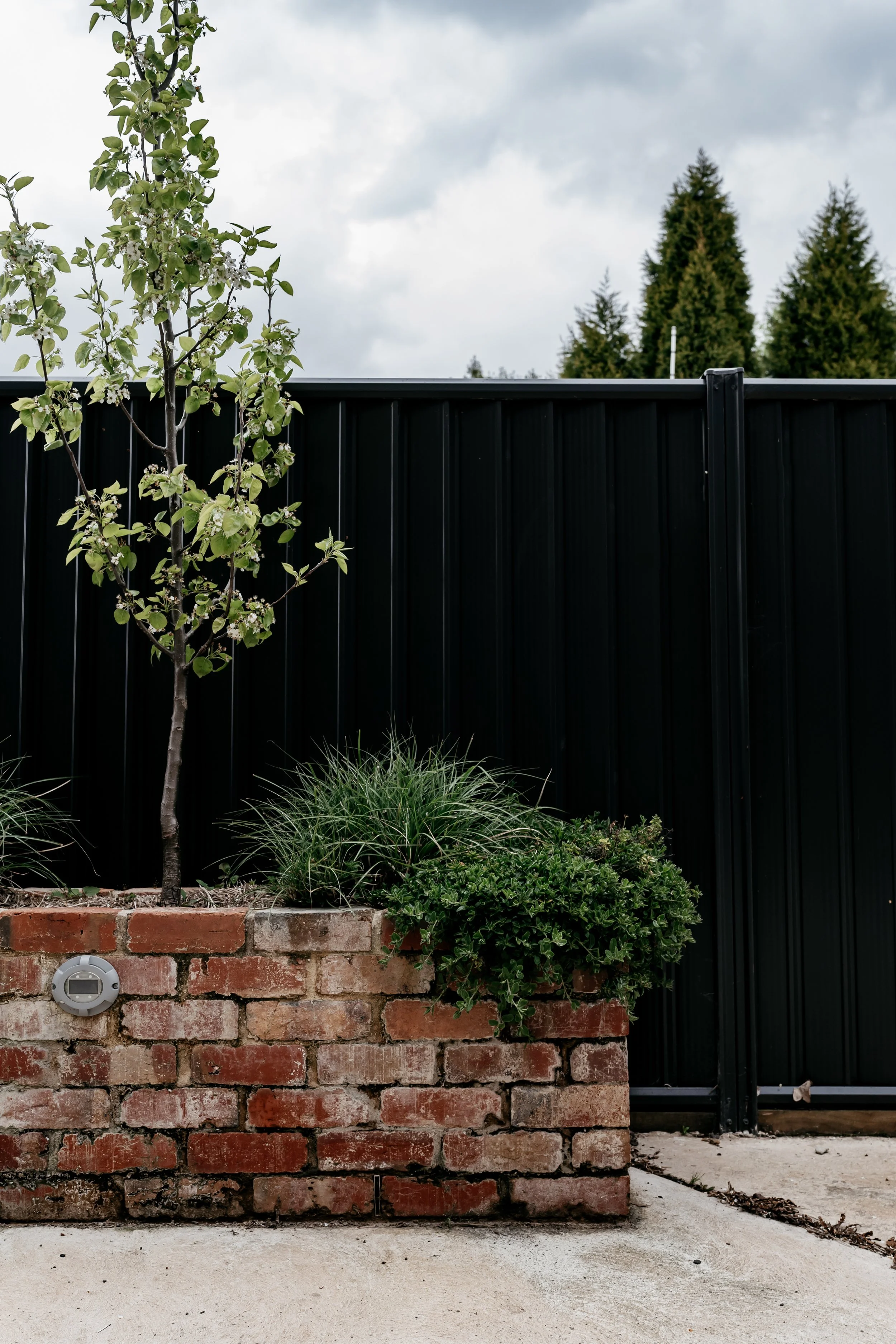 CrossmanRow-Clare-105704.jpg