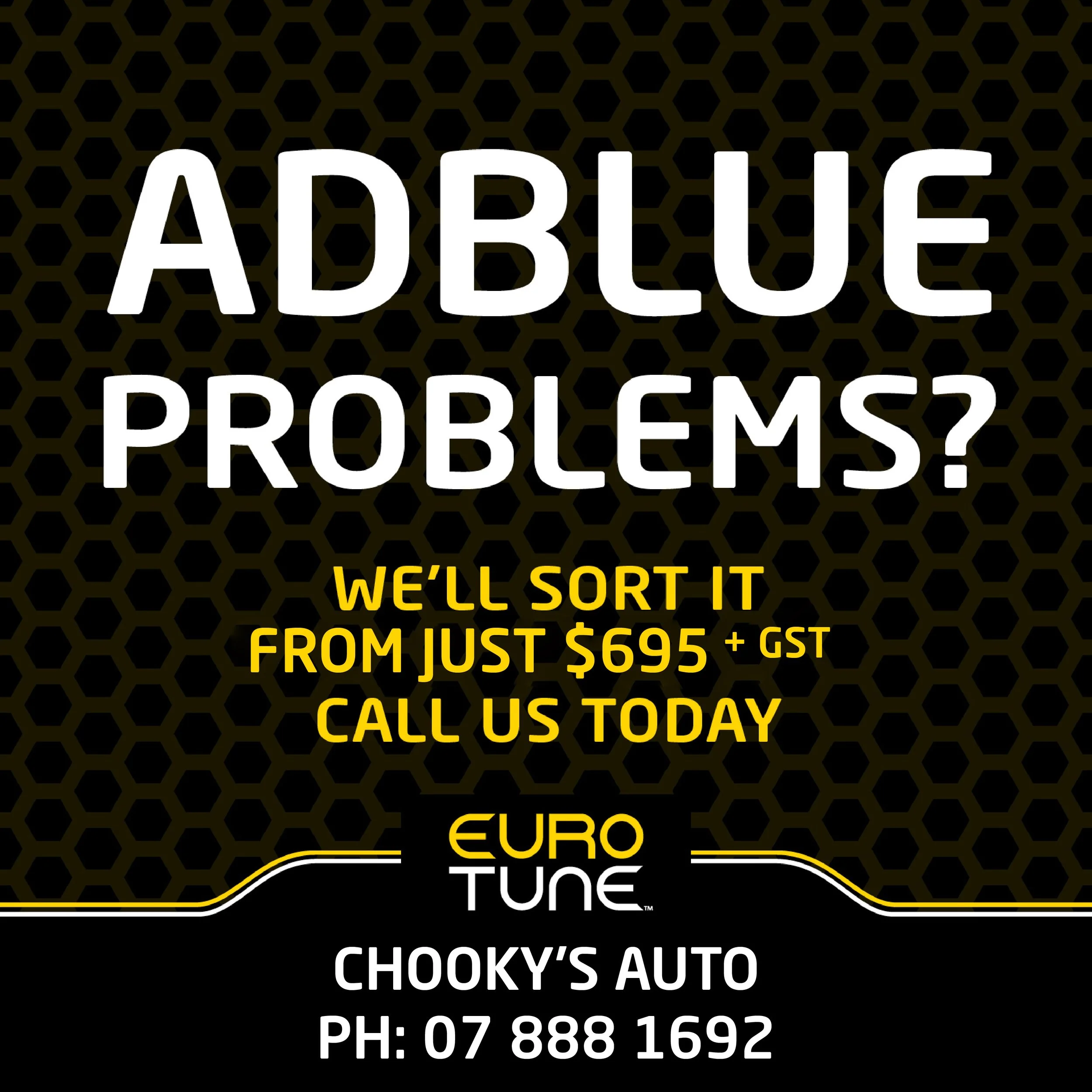 ADBLUE ISSUES CHOOKY'S AUTO (1).jpg