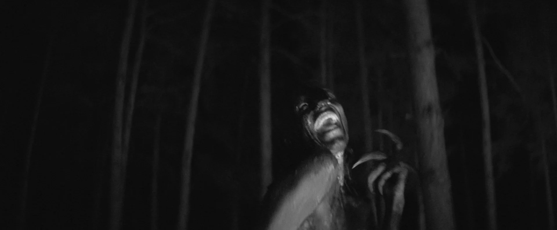 Nebala — Lapu
Cinematographer