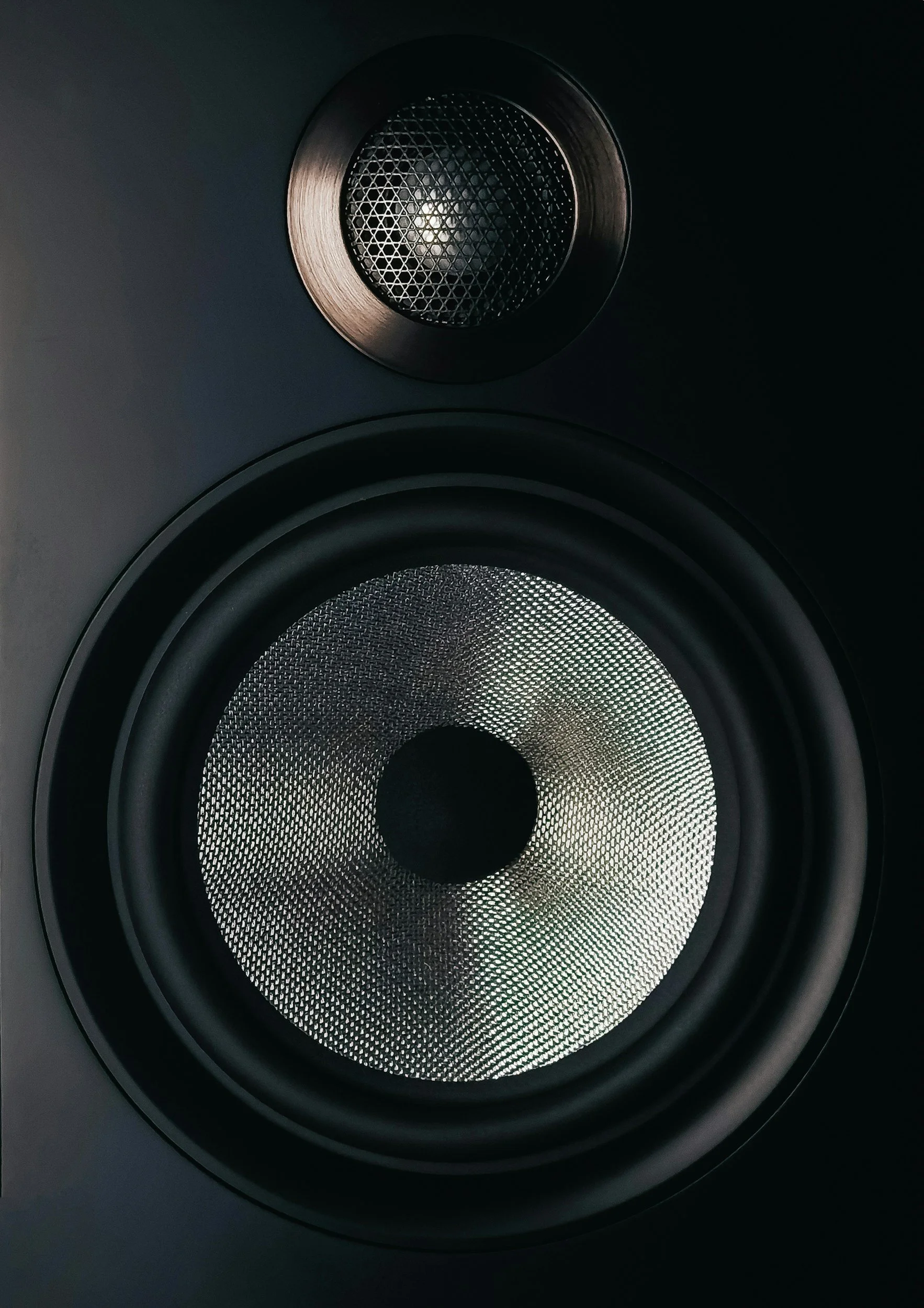 Close-up of a black speaker with a metal grille, showing the speaker cone and surround.