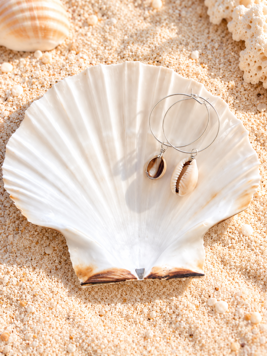 Seashell Earrings on a Pearly Scallop Shell.png