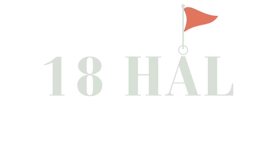 18 HÅL I HUVUDET