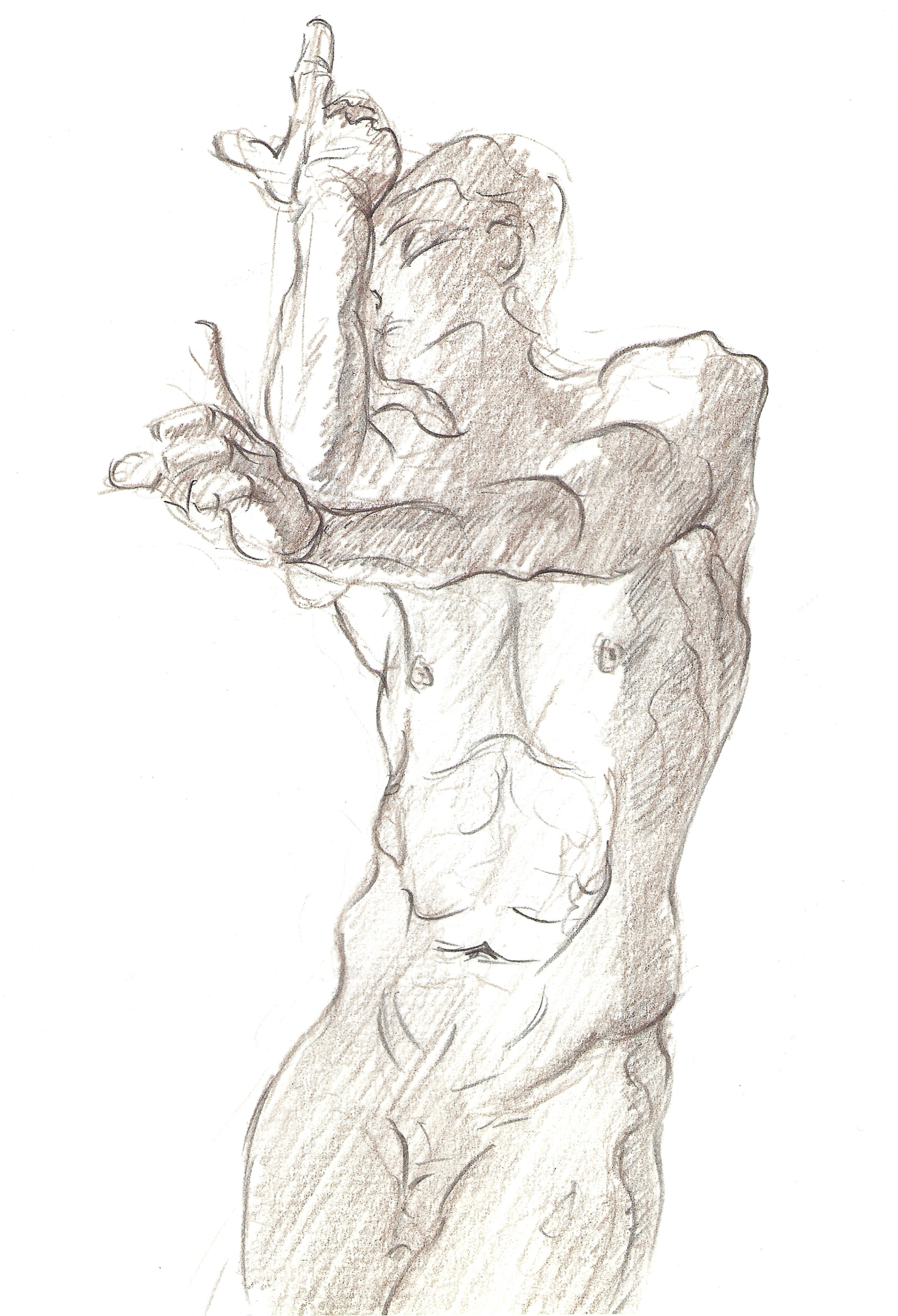 A detailed pencil sketch of a muscular male torso with one arm raised, showing the chest, abs, and side profile.
