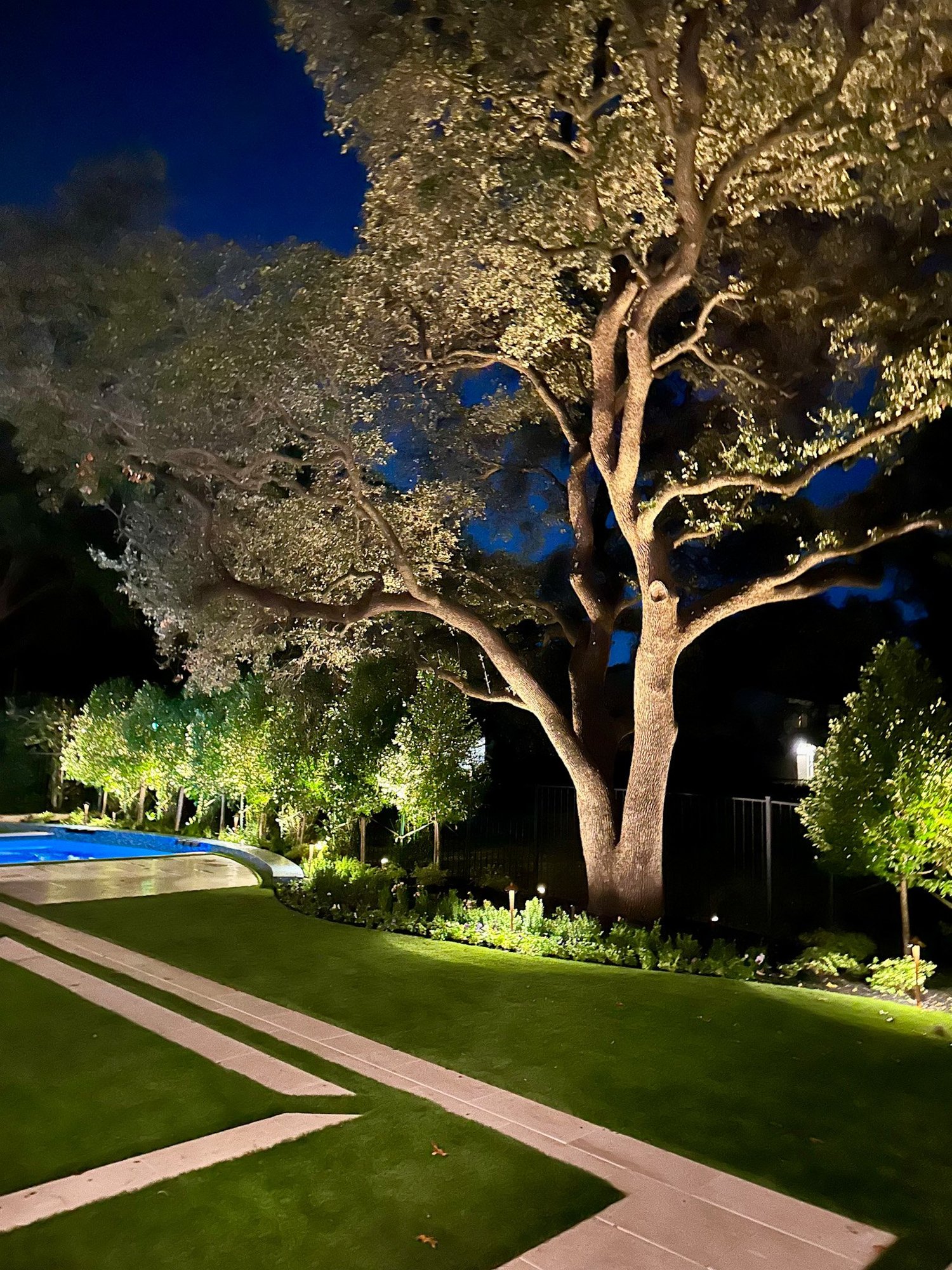 Uplit oak tree over a manicured lawn at dusk at a Southlake home