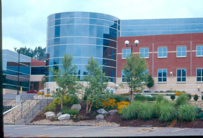 Mylan12.jpg