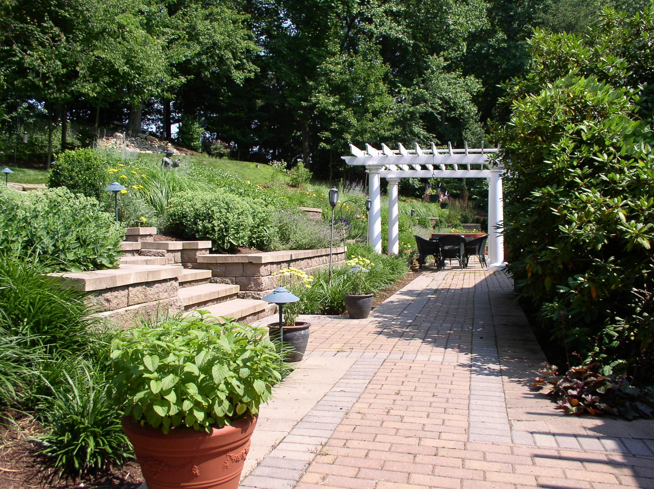 P6240008.JPG