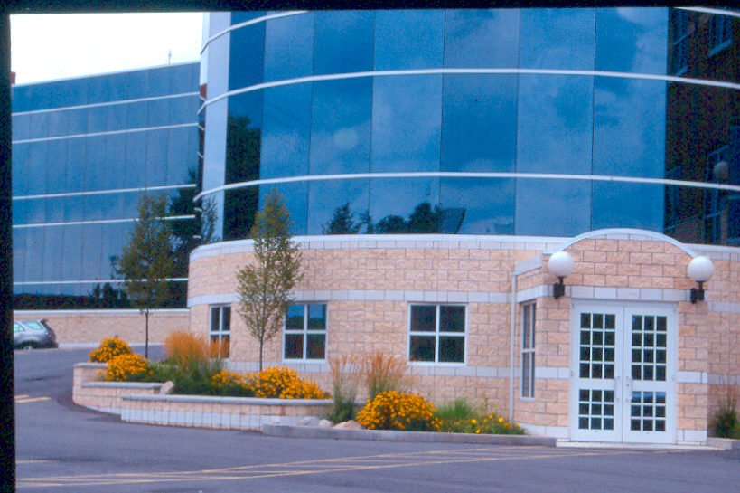 Mylan18.jpg