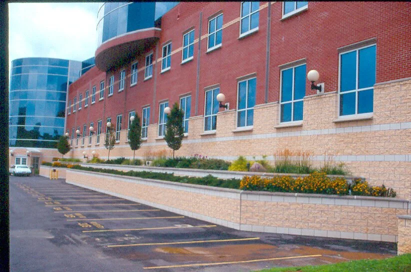 Mylan16.jpg