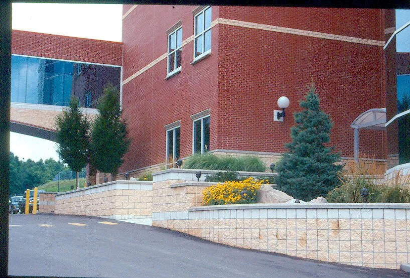 Mylan20.jpg