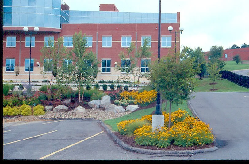 Mylan15.jpg
