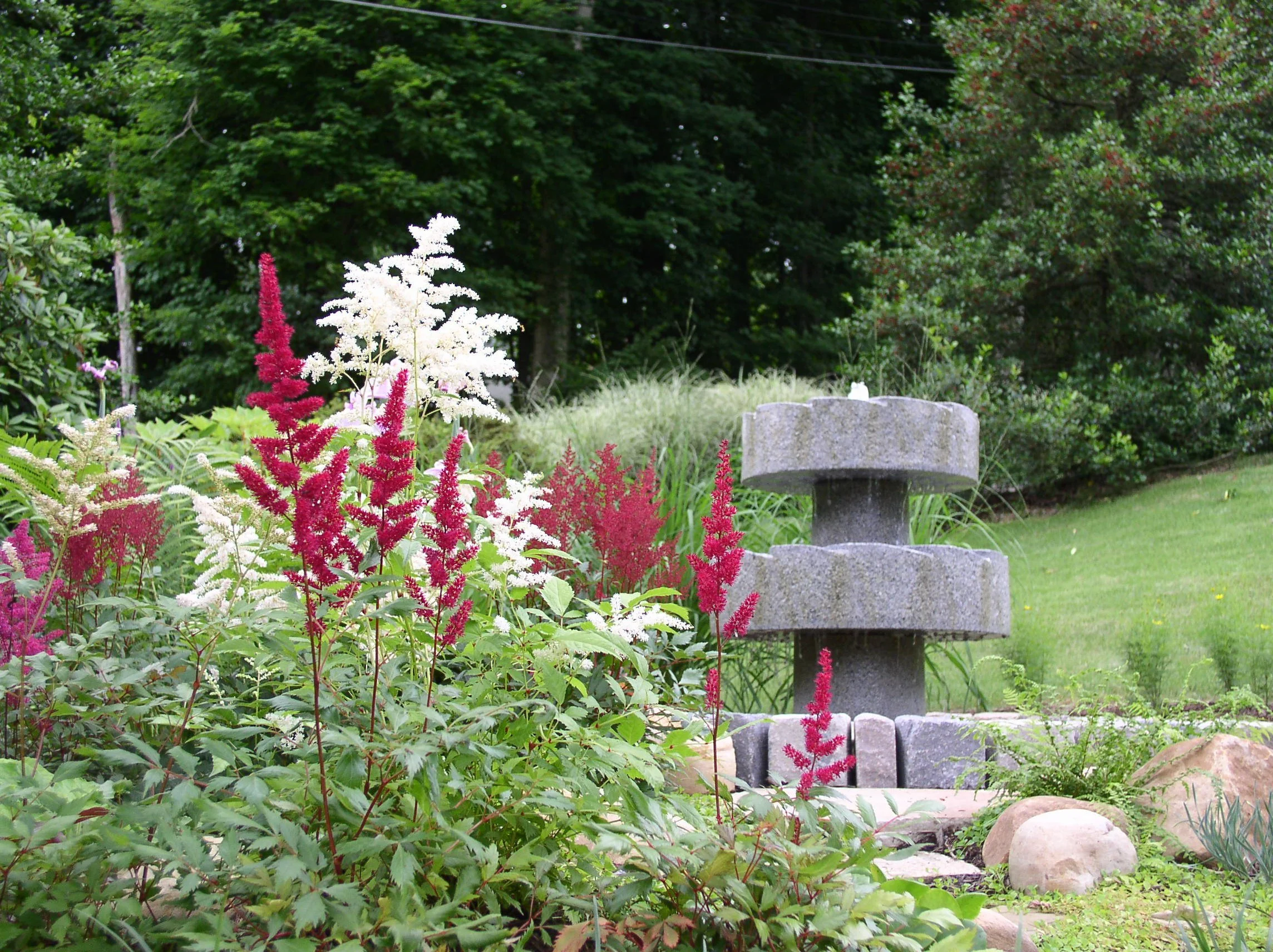 P6100024.JPG