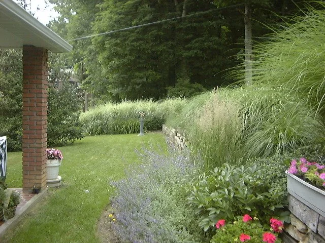 Picture 026.jpg