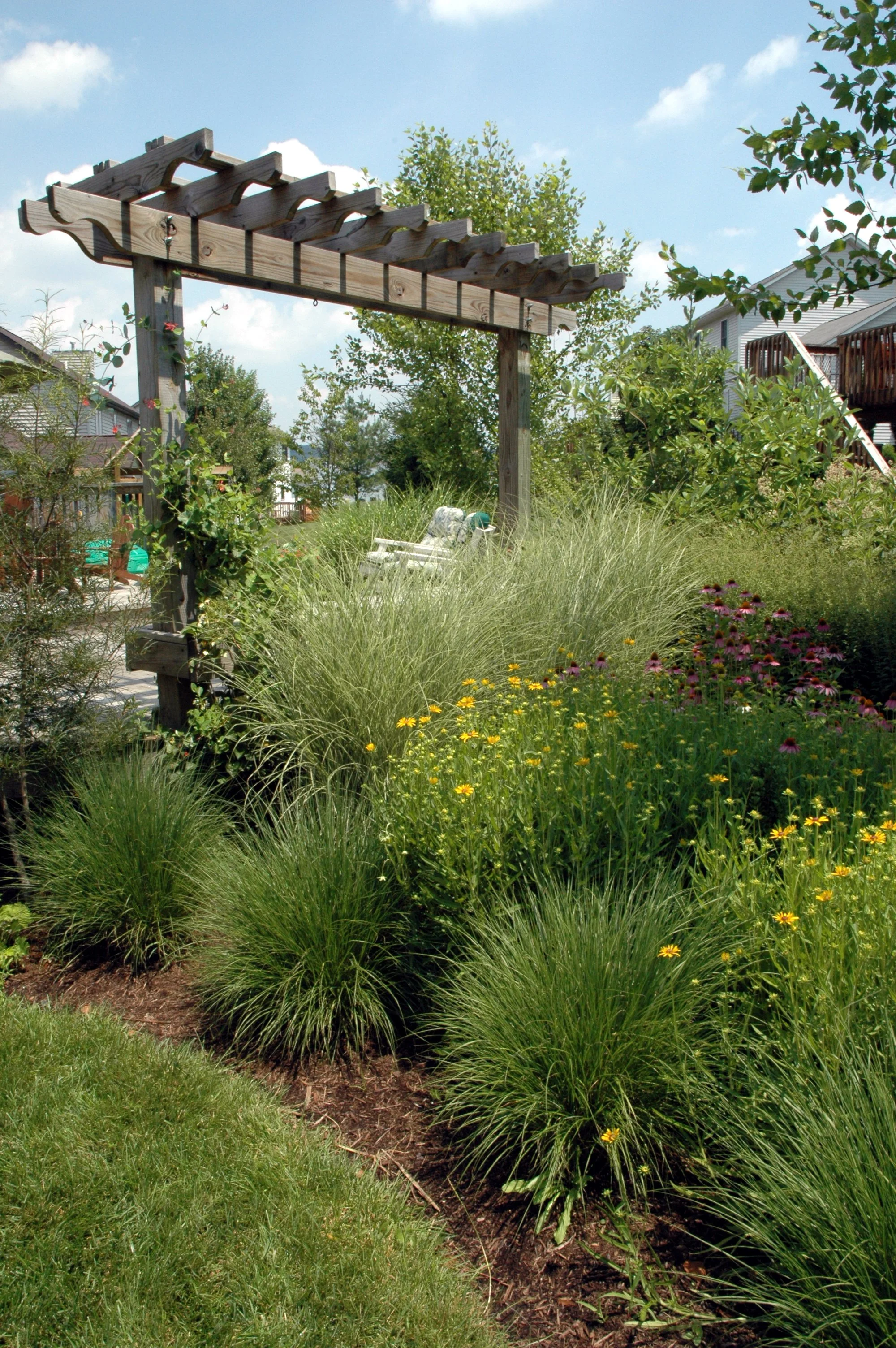 biafore planting-3.jpg